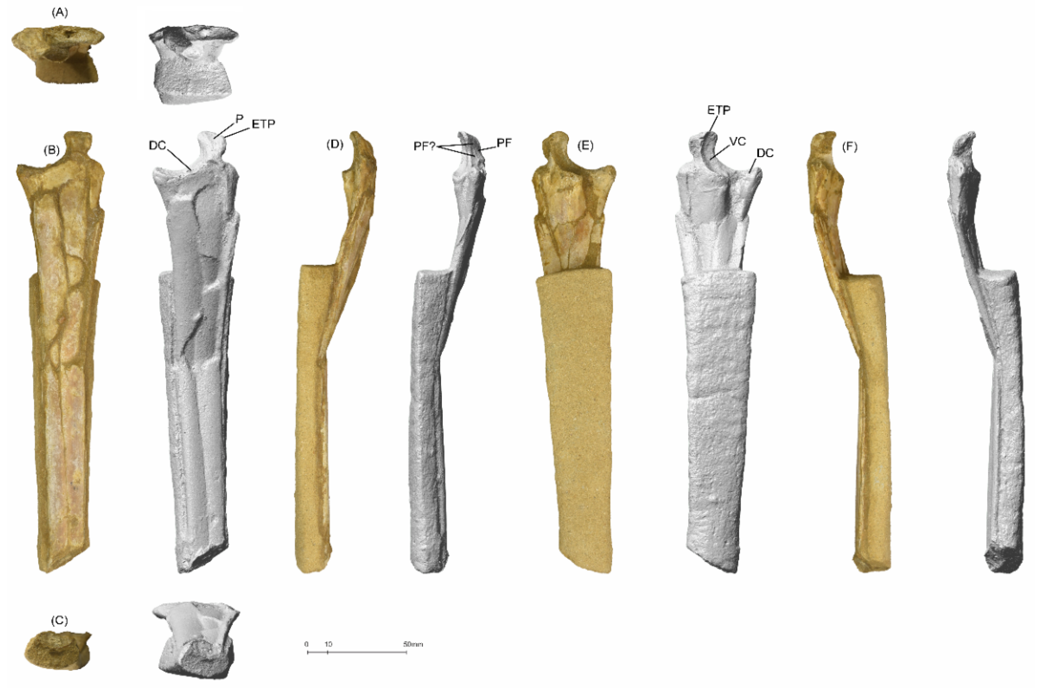 Diversity 14 00741 g008