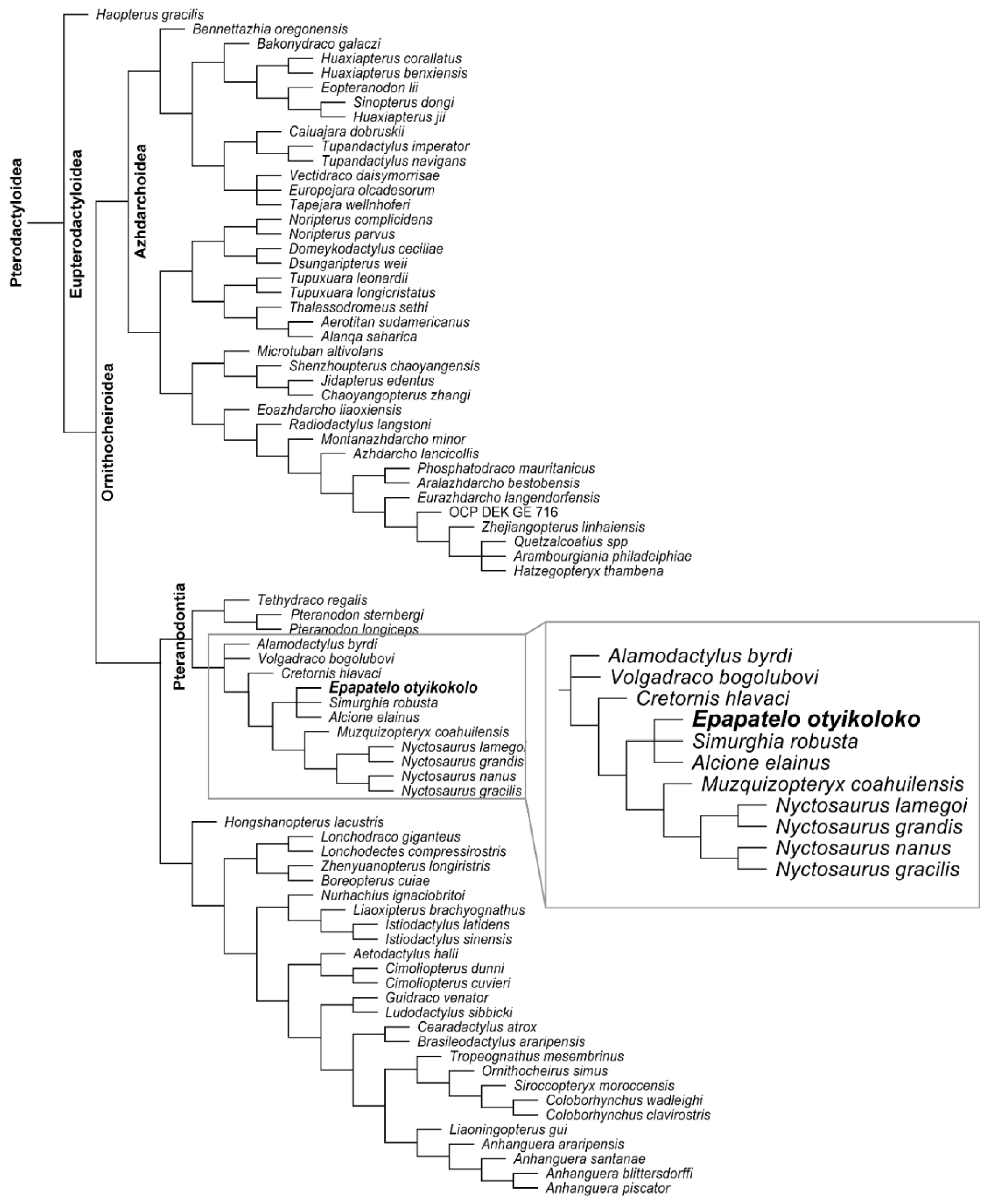 Diversity 14 00741 g009