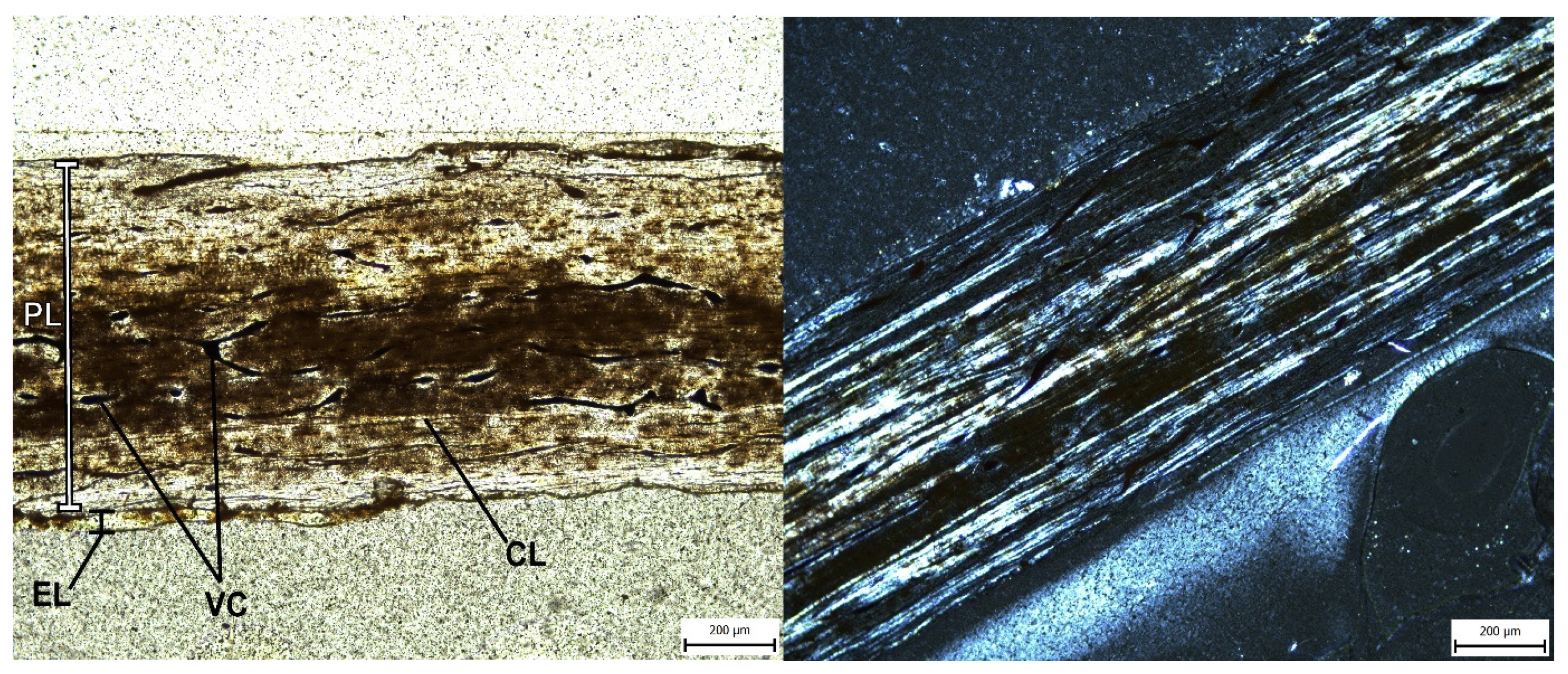 Diversity 14 00741 g010