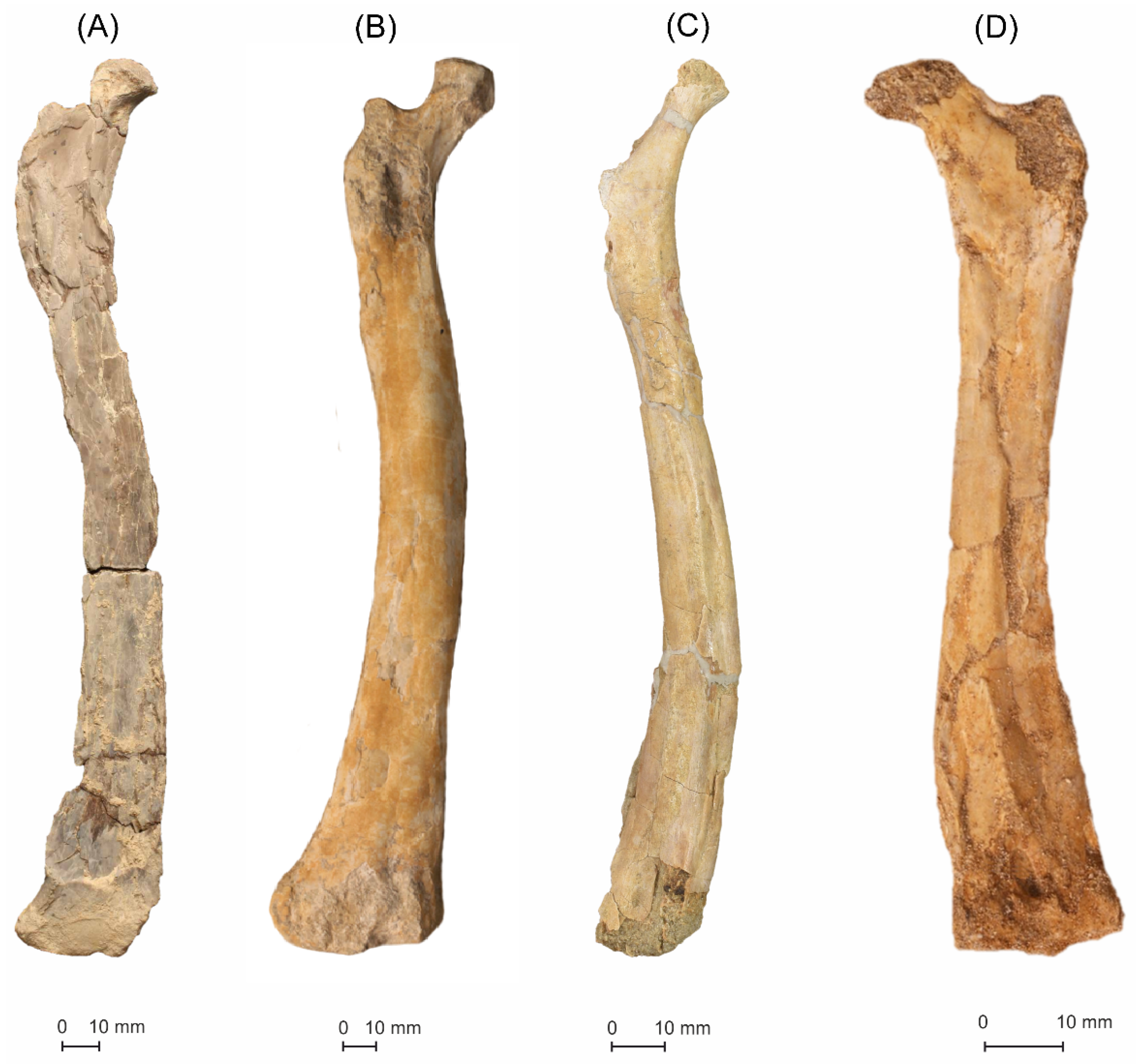 Diversity 14 00741 g014