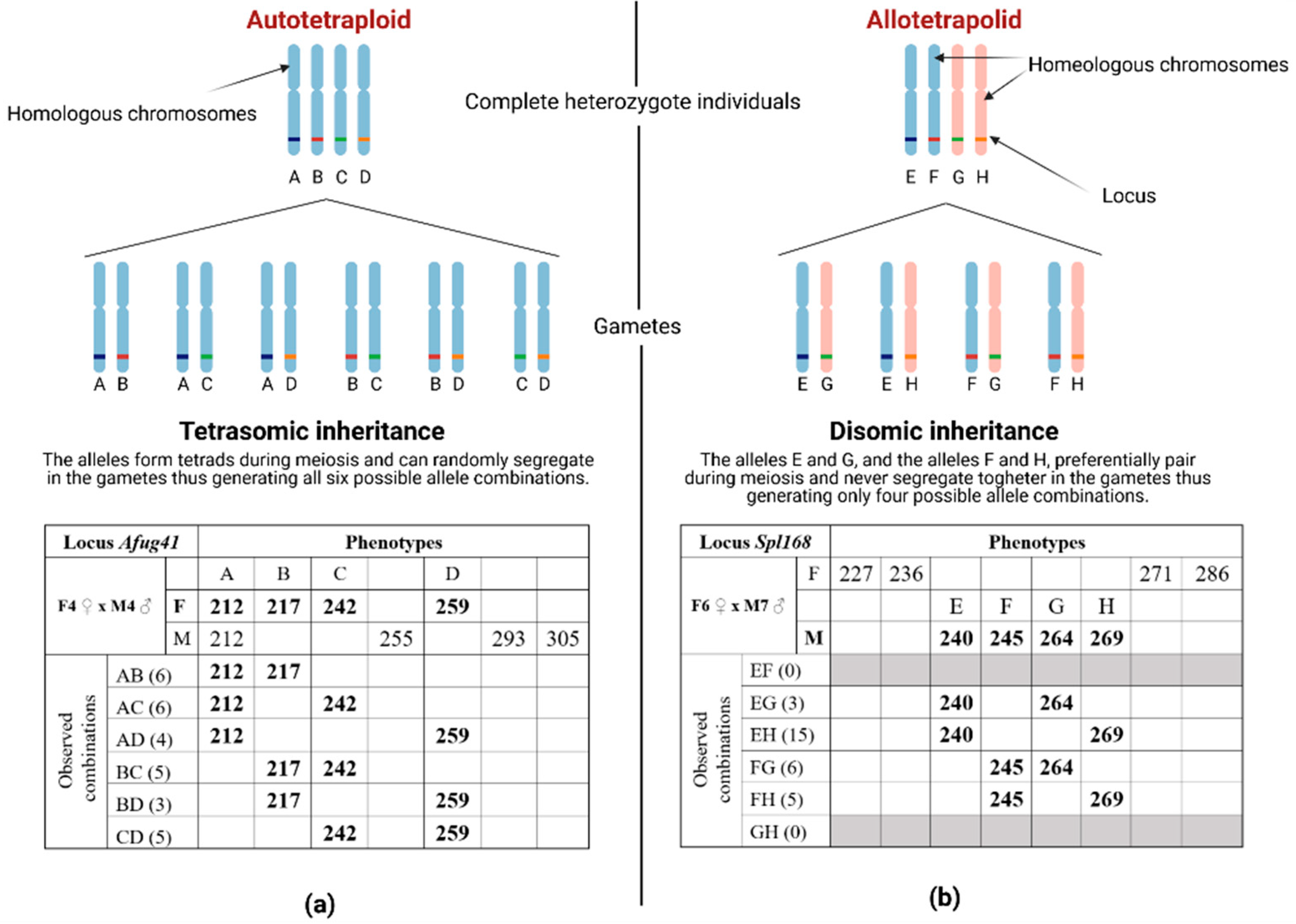 Diversity 14 00745 g001