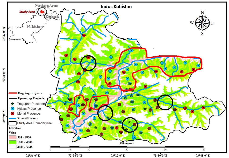 Diversity 14 00752 g004