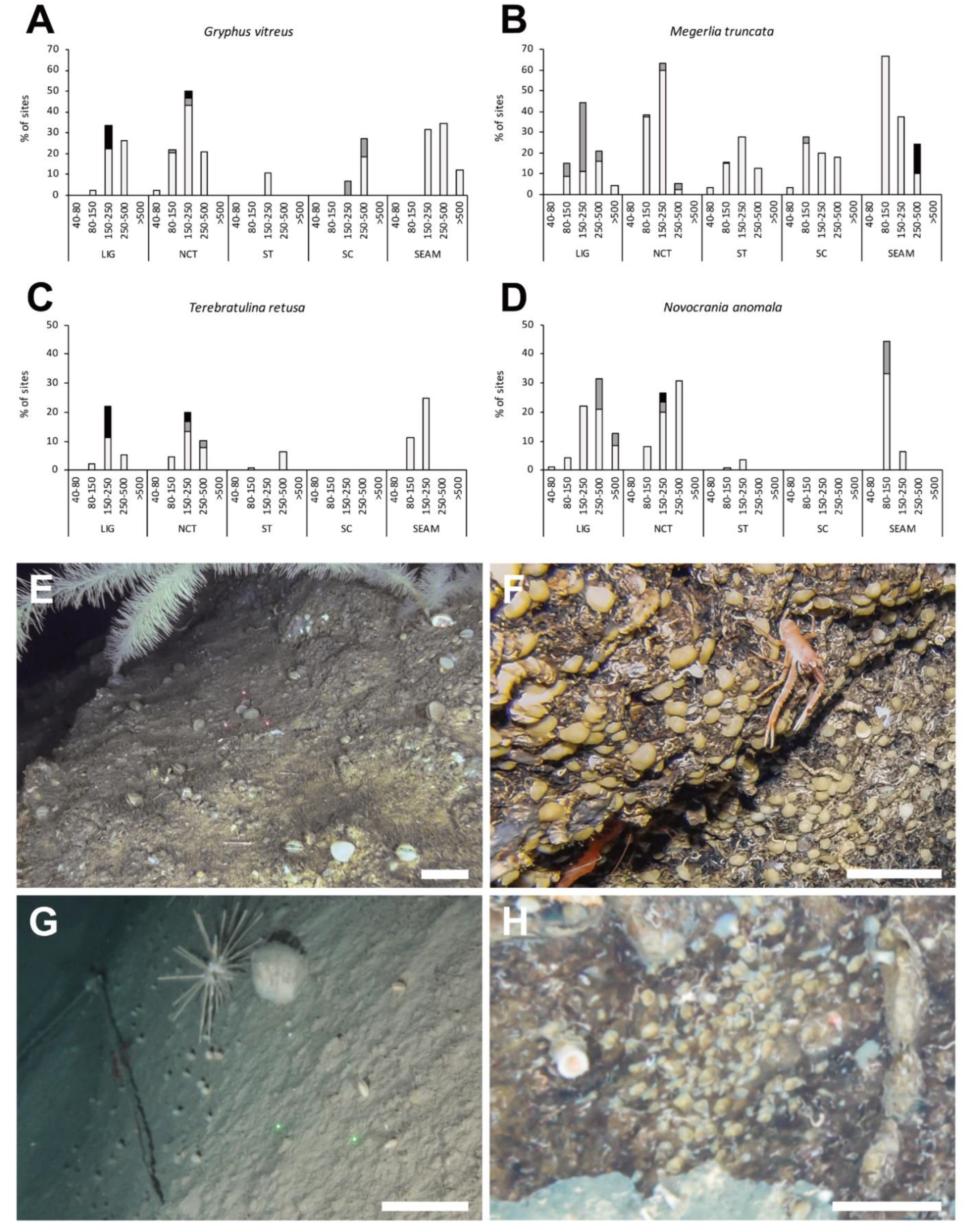 Diversity 14 00753 g007 Diversity 14 00753 g007