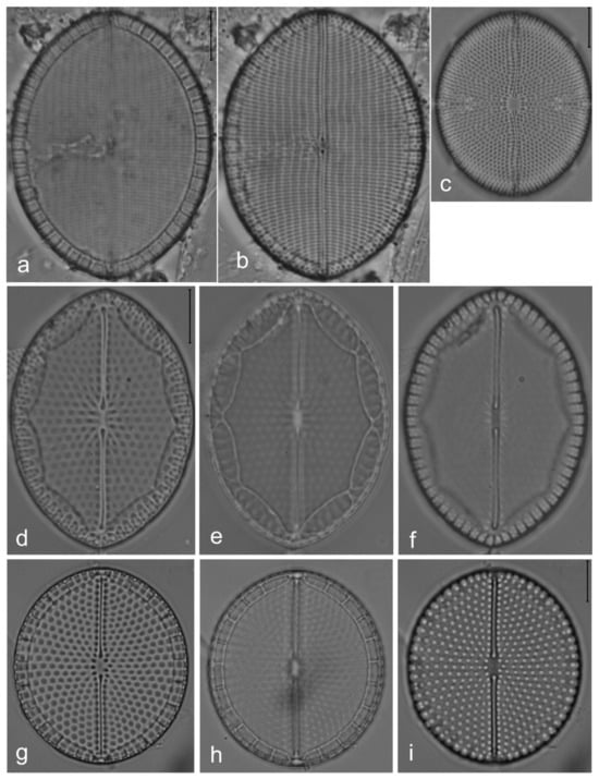 Diversity 14 00758 g018