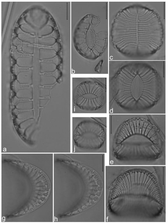 Diversity 14 00758 g030