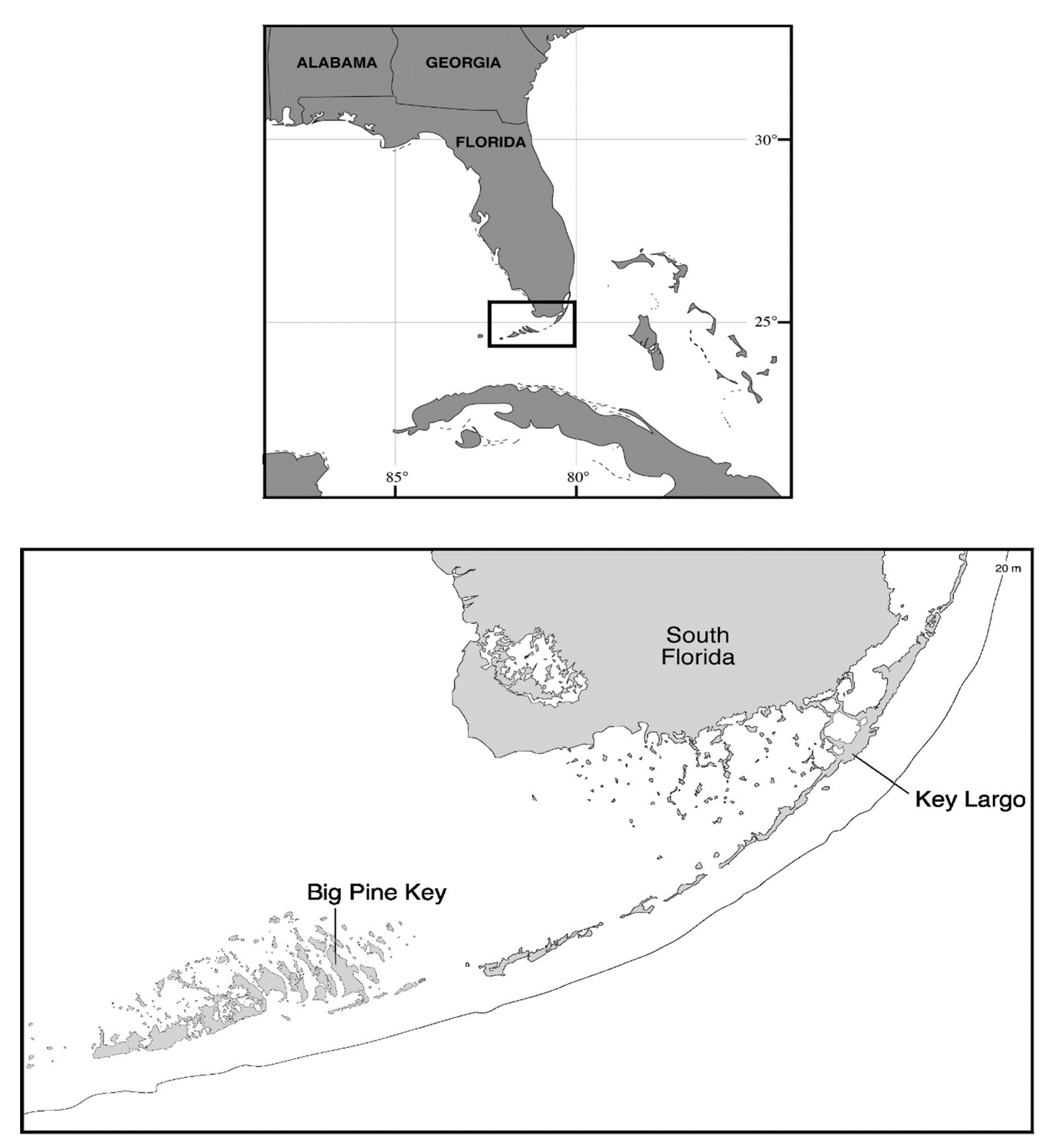 Diversity 14 00762 g001