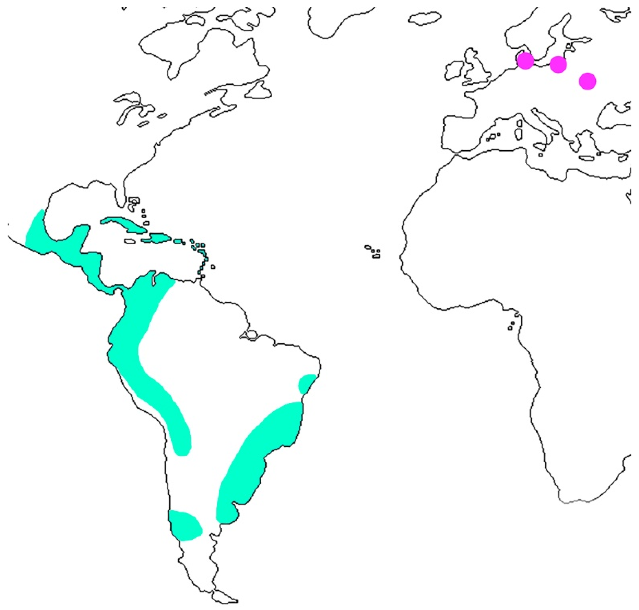 Diversity 14 00767 g004