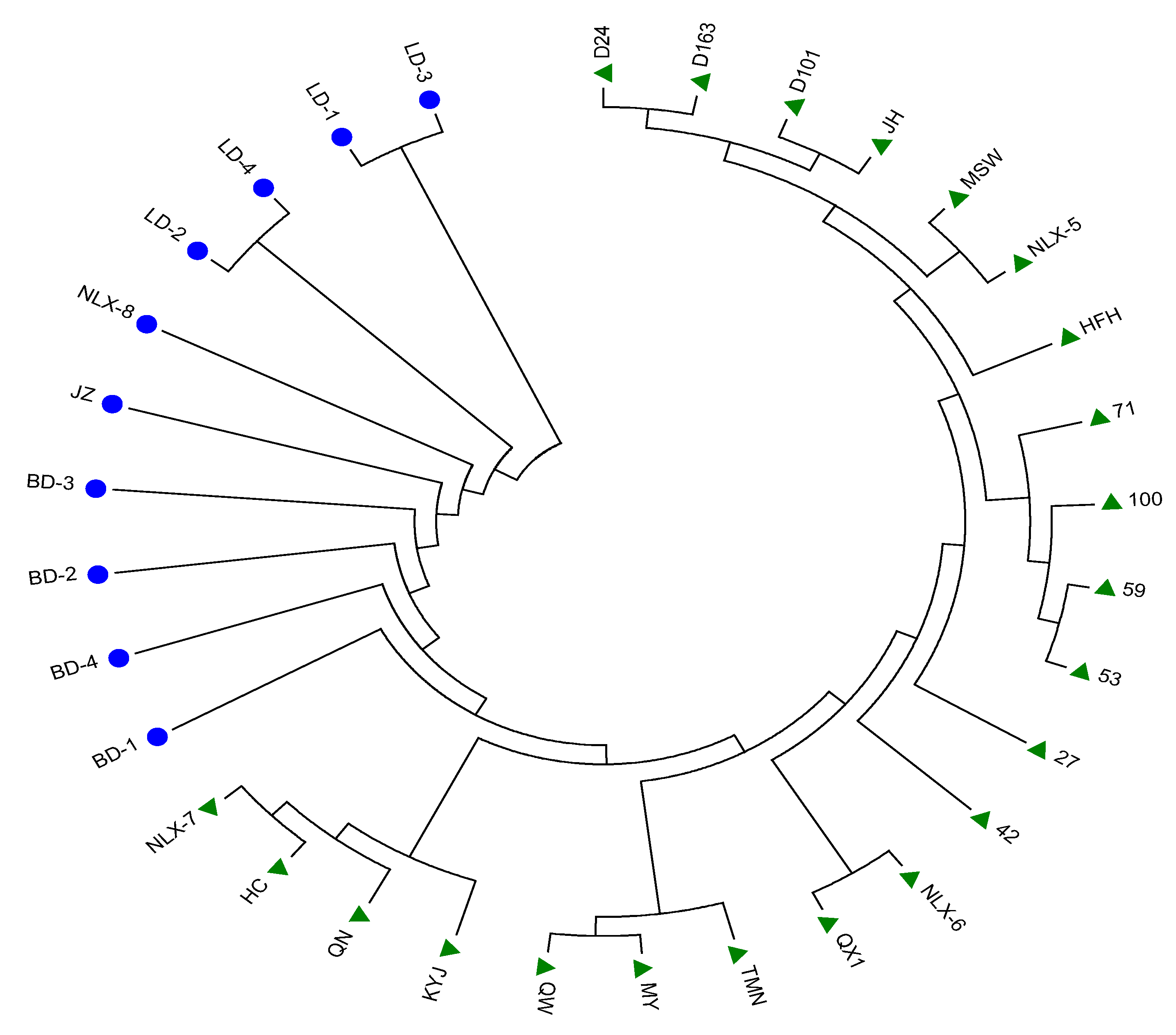 Diversity 14 00769 g002