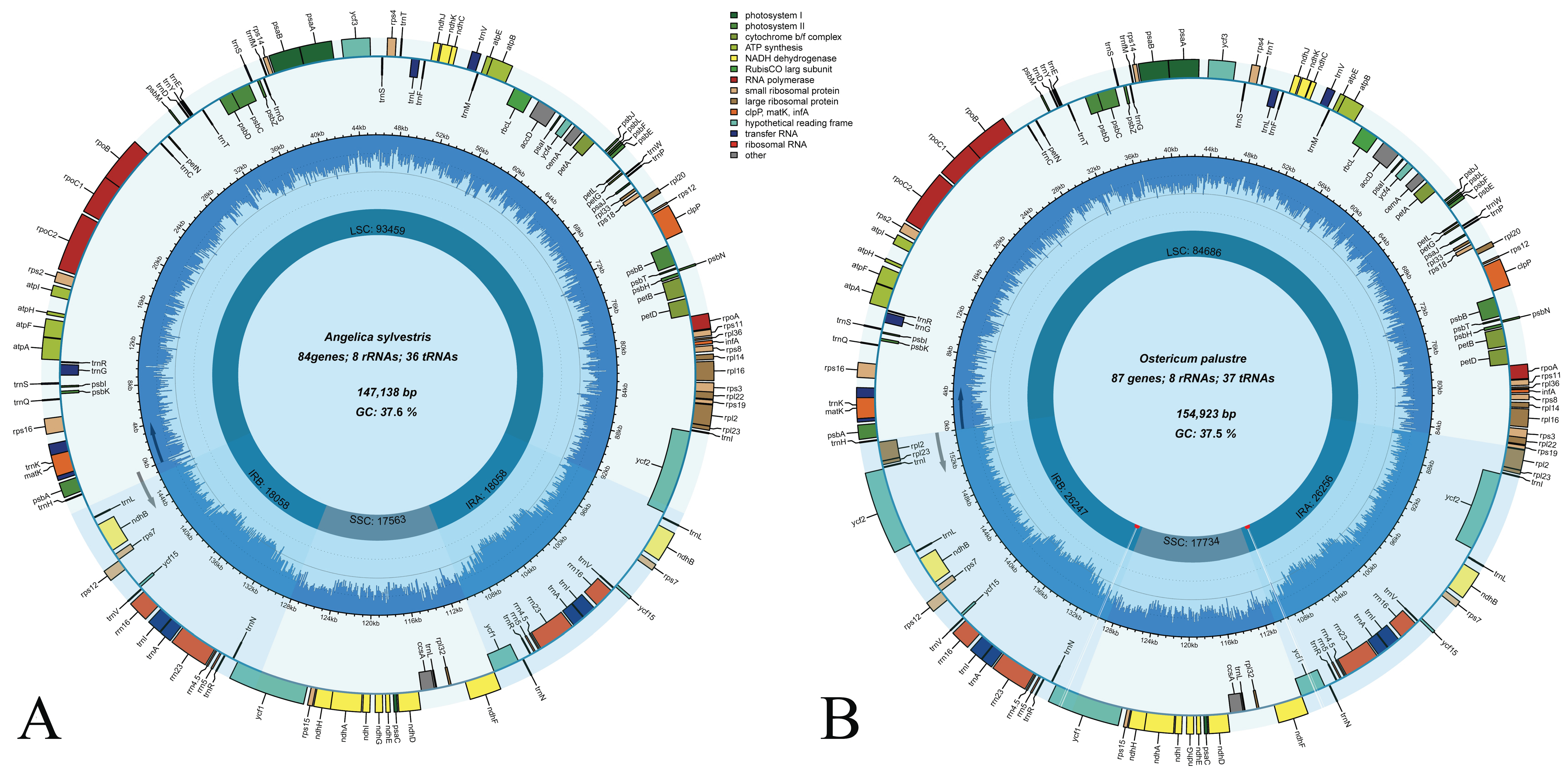 Diversity 14 00776 g002