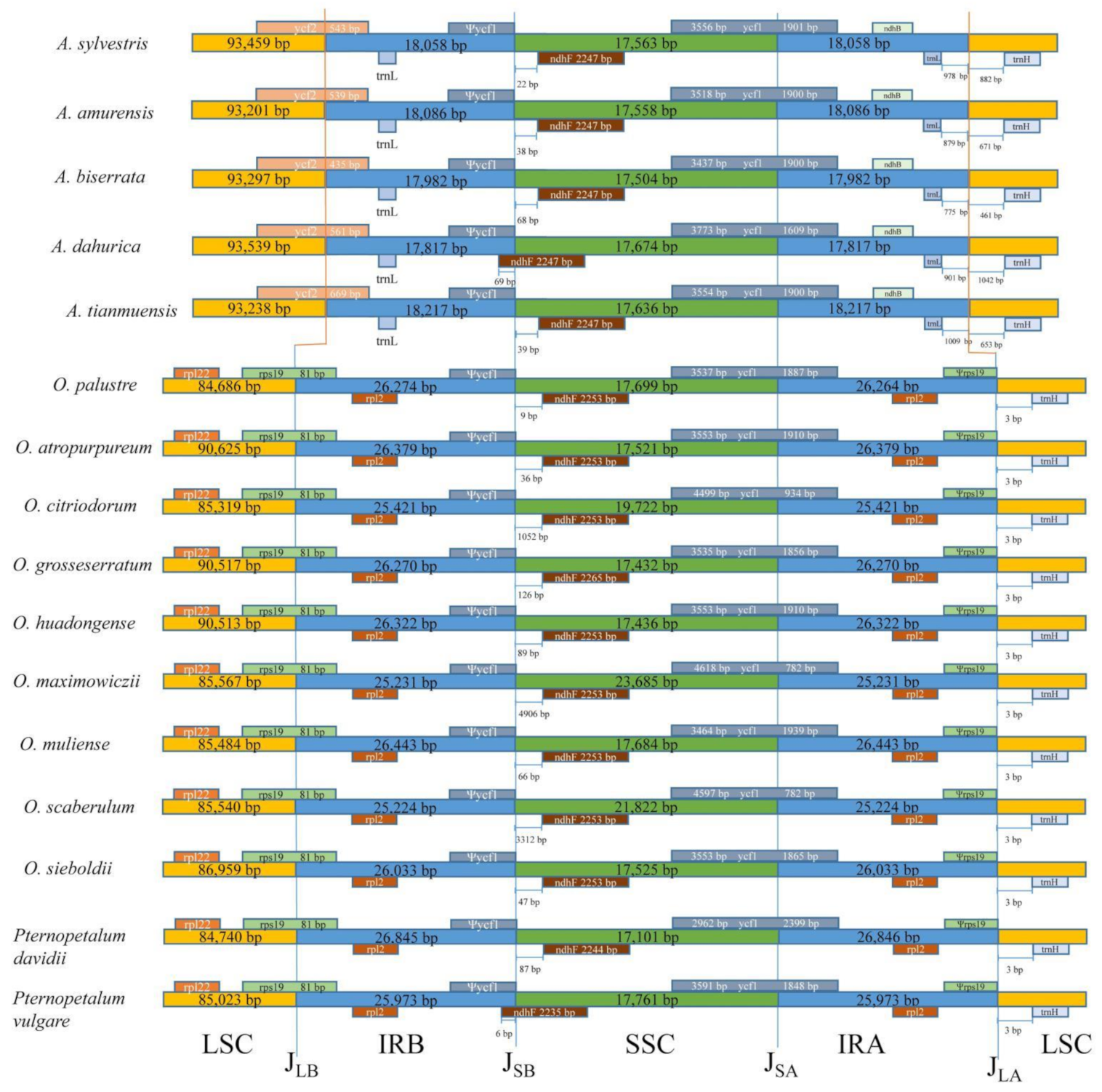 Diversity 14 00776 g003