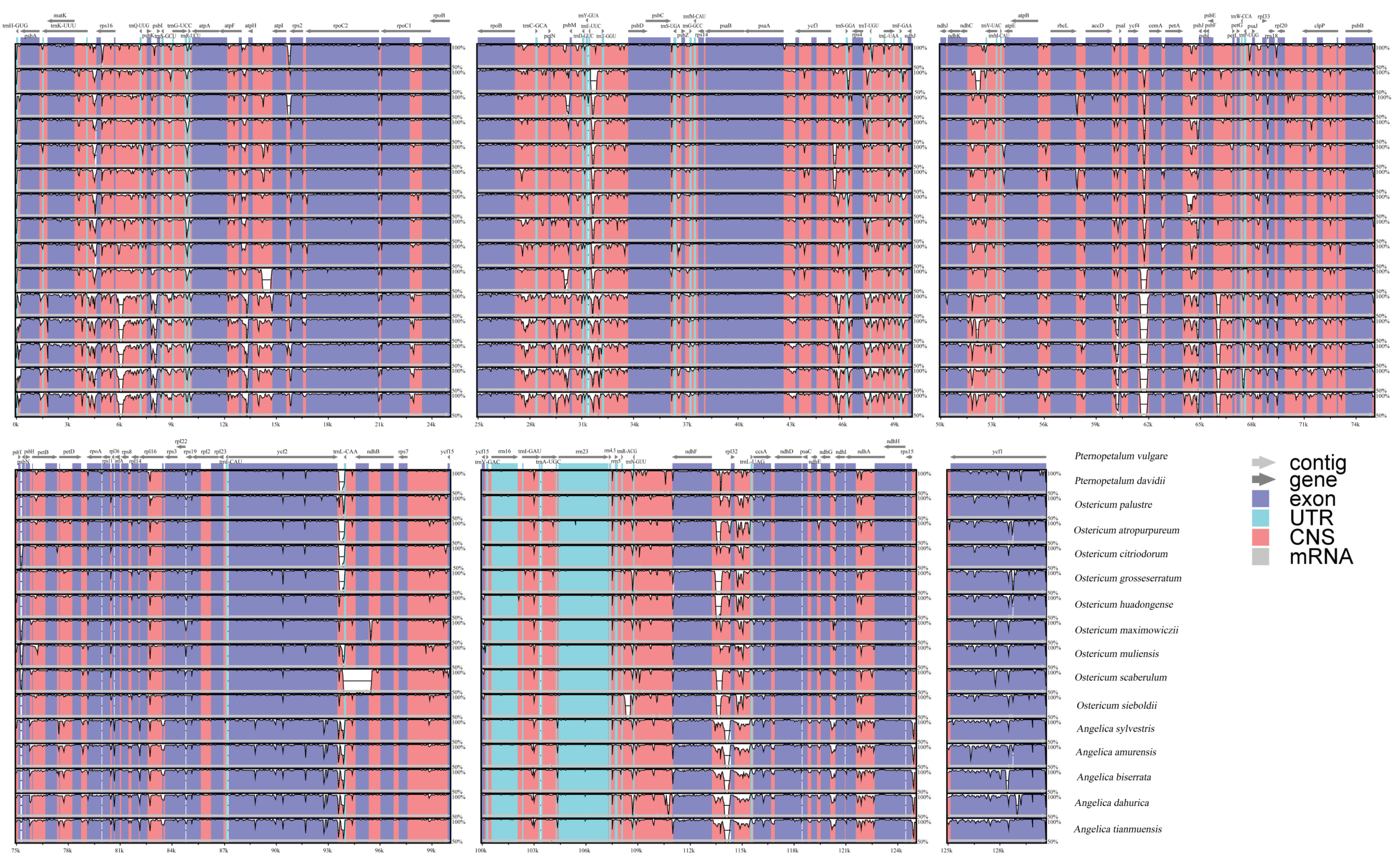 Diversity 14 00776 g005