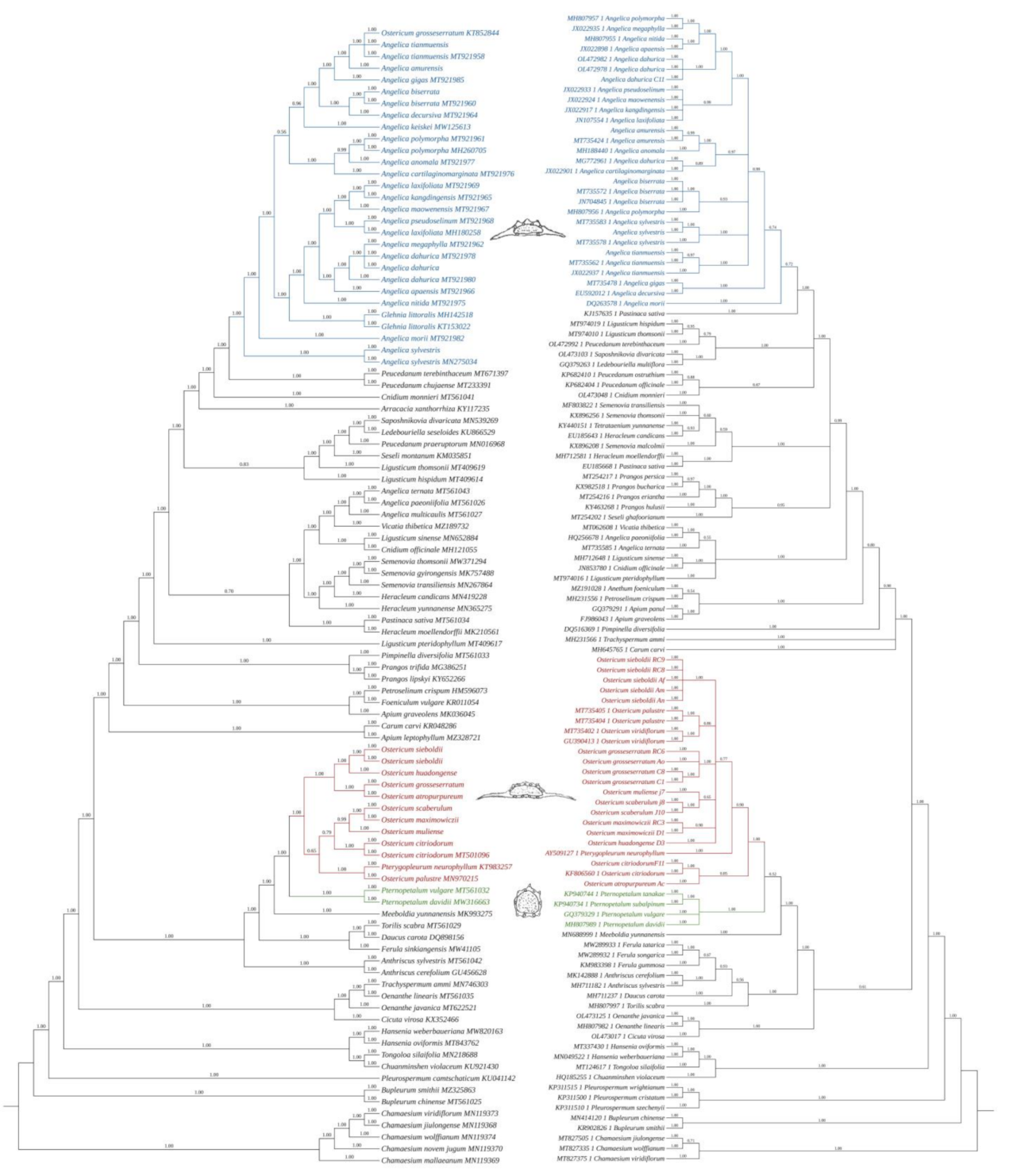 Diversity 14 00776 g007