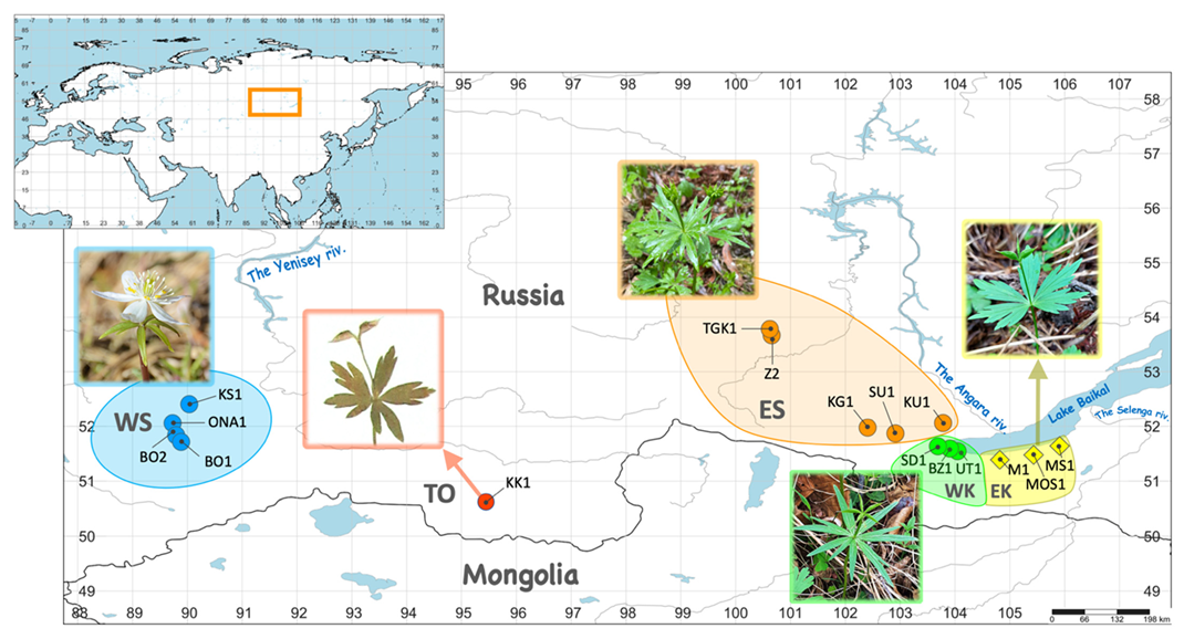 Diversity 14 00779 g001