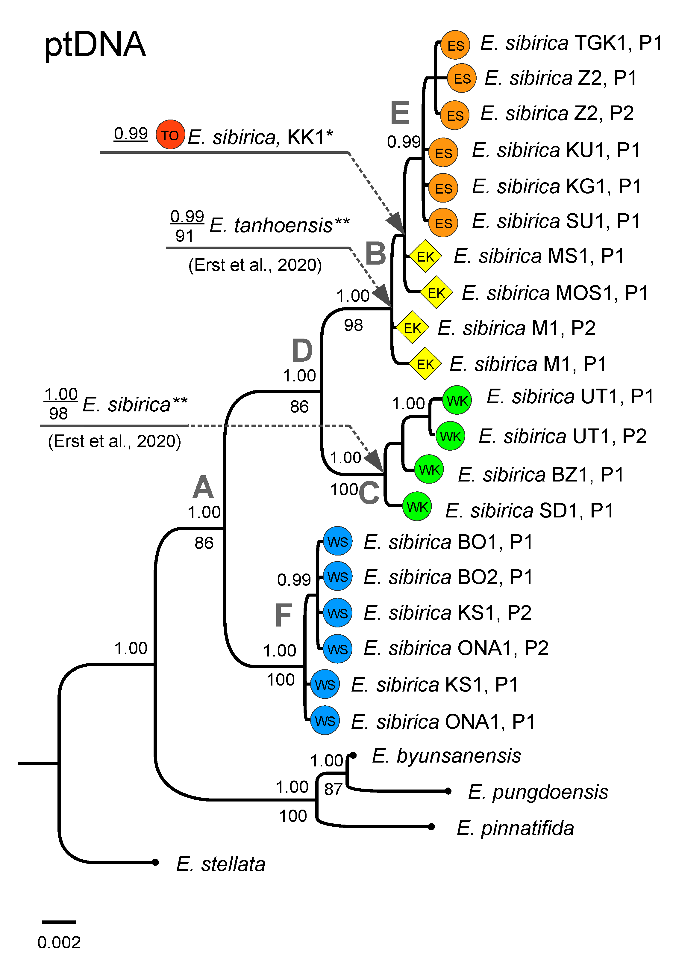 Diversity 14 00779 g003