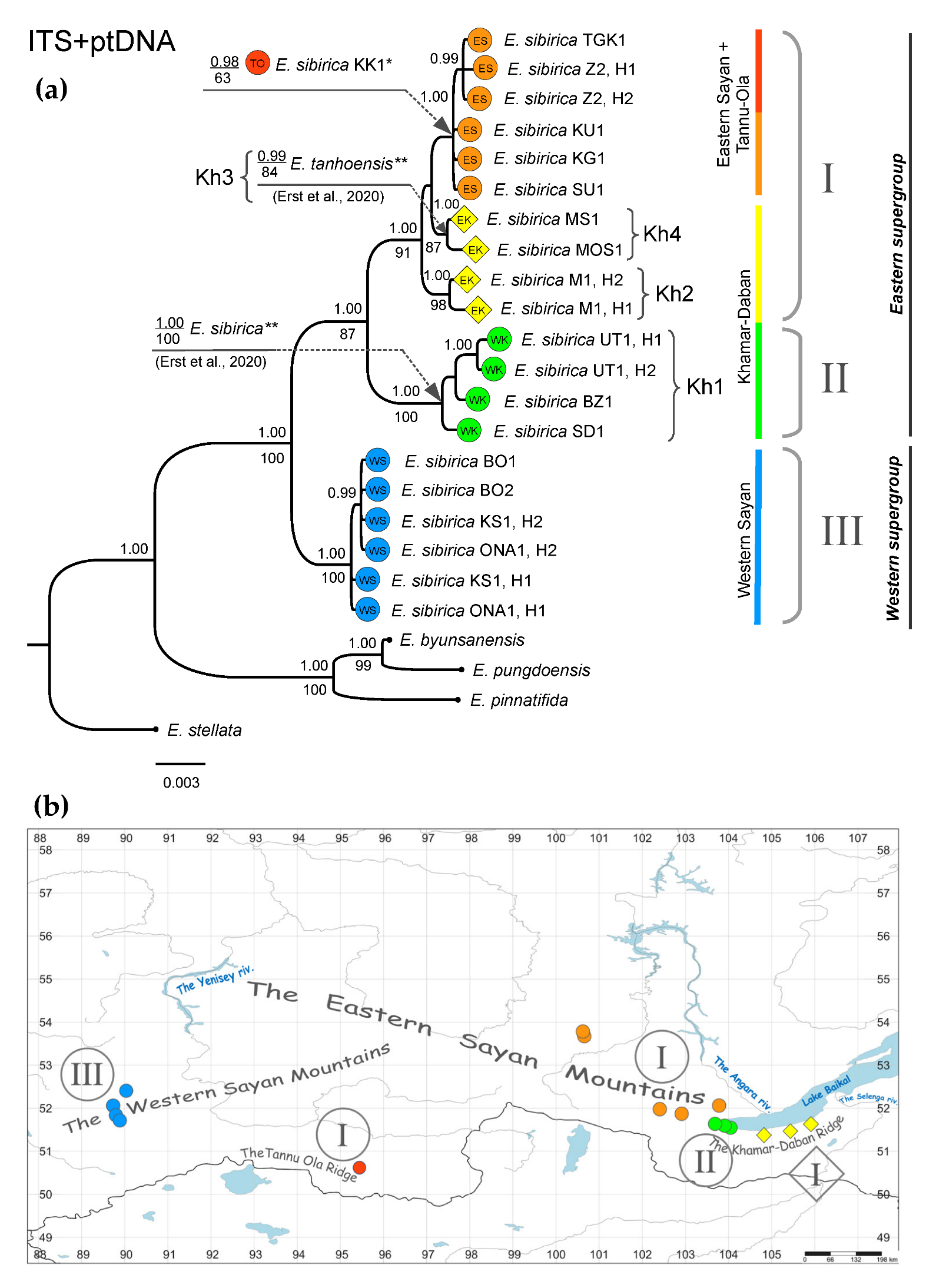 Diversity 14 00779 g004