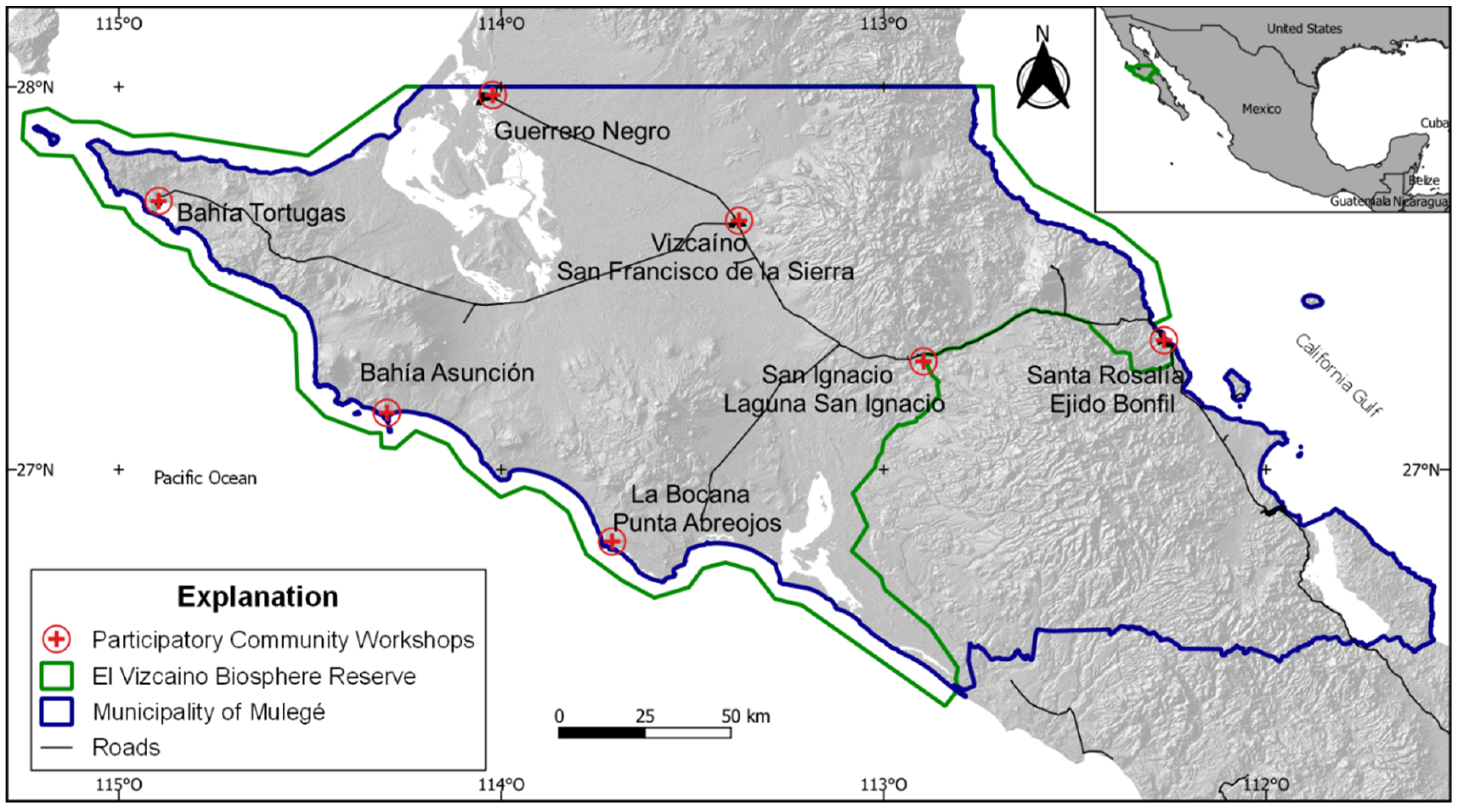 Diversity 14 00786 g001