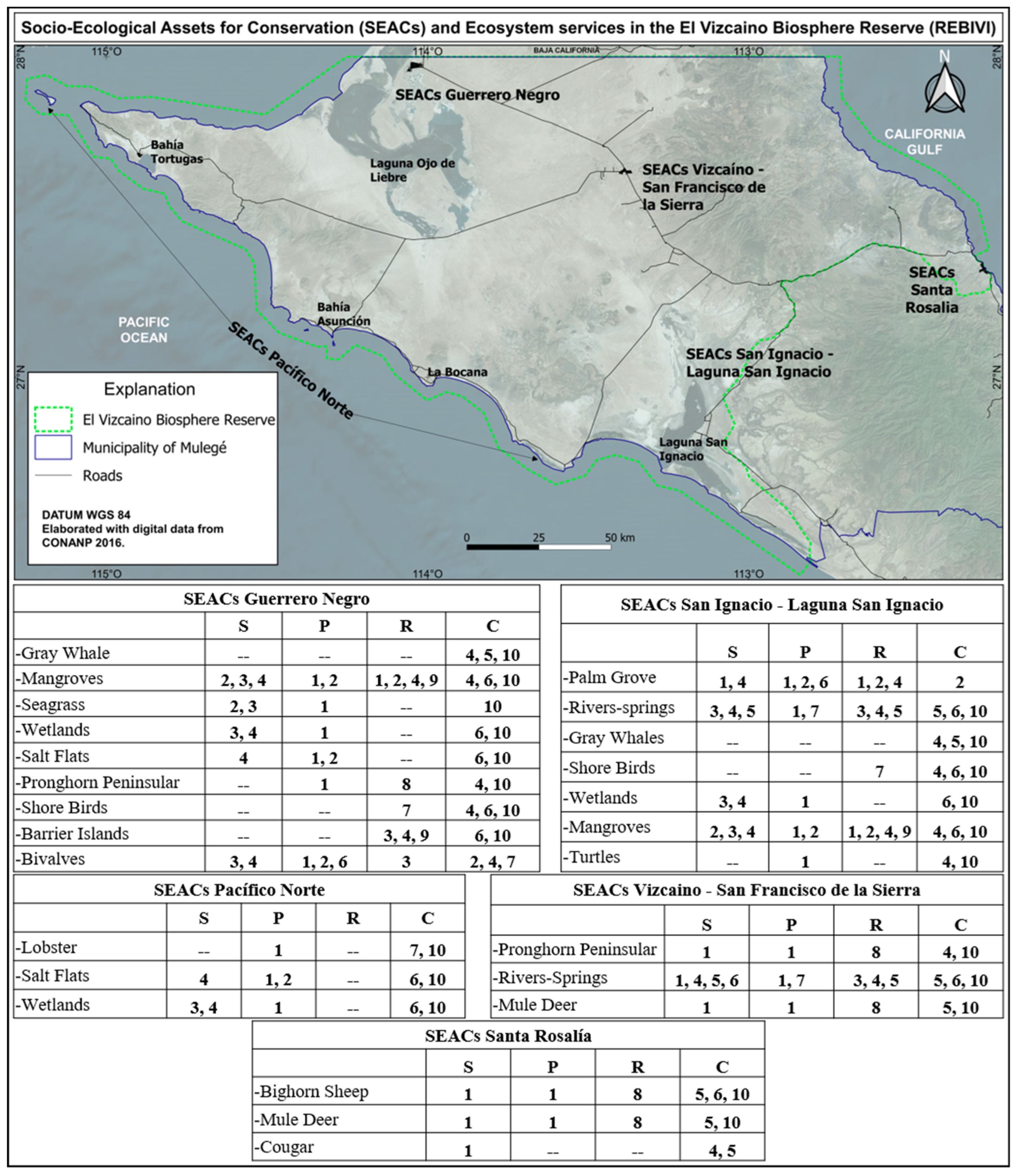 Diversity 14 00786 g002