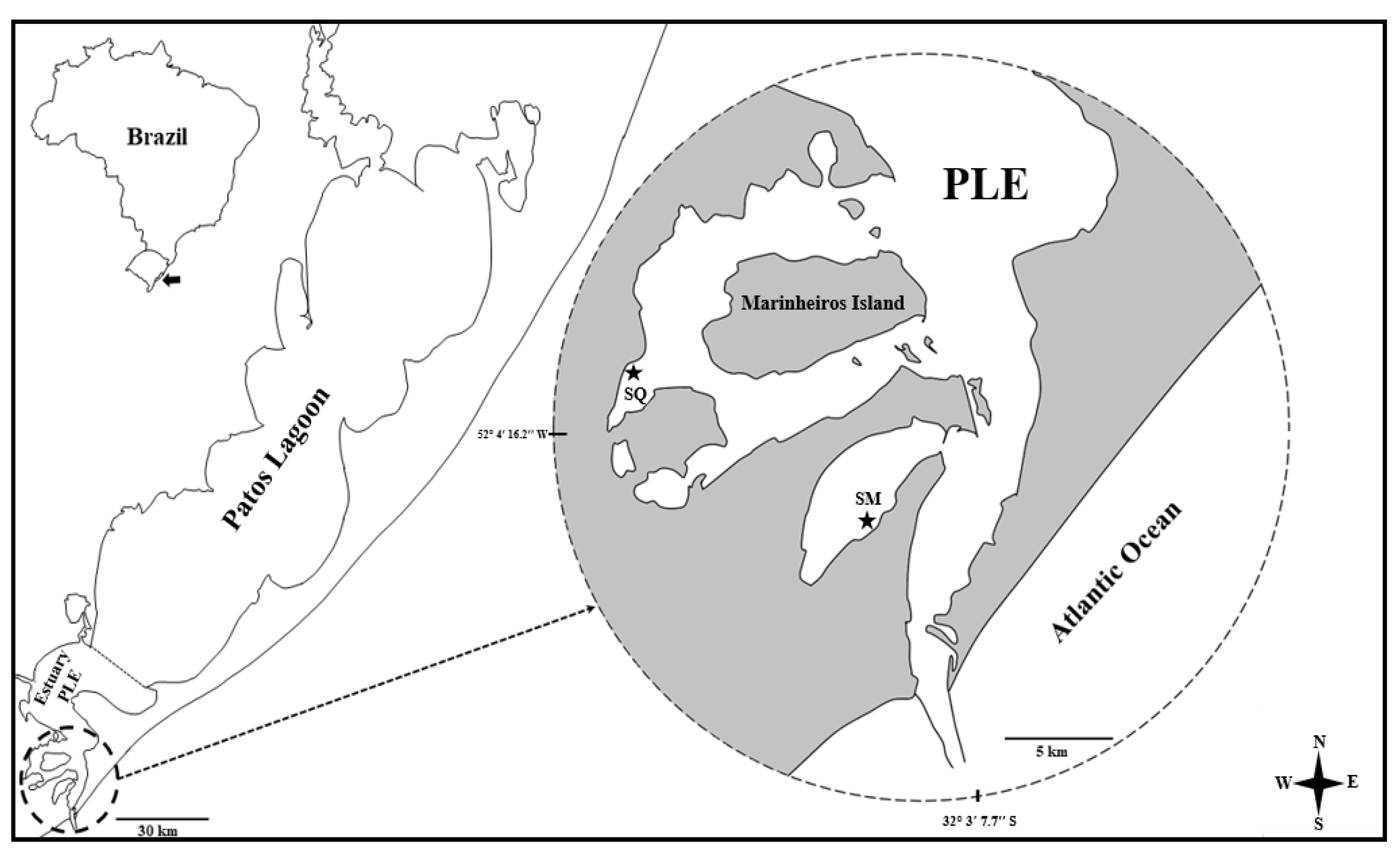 Diversity 14 00787 g001 Diversity 14 00787 g001