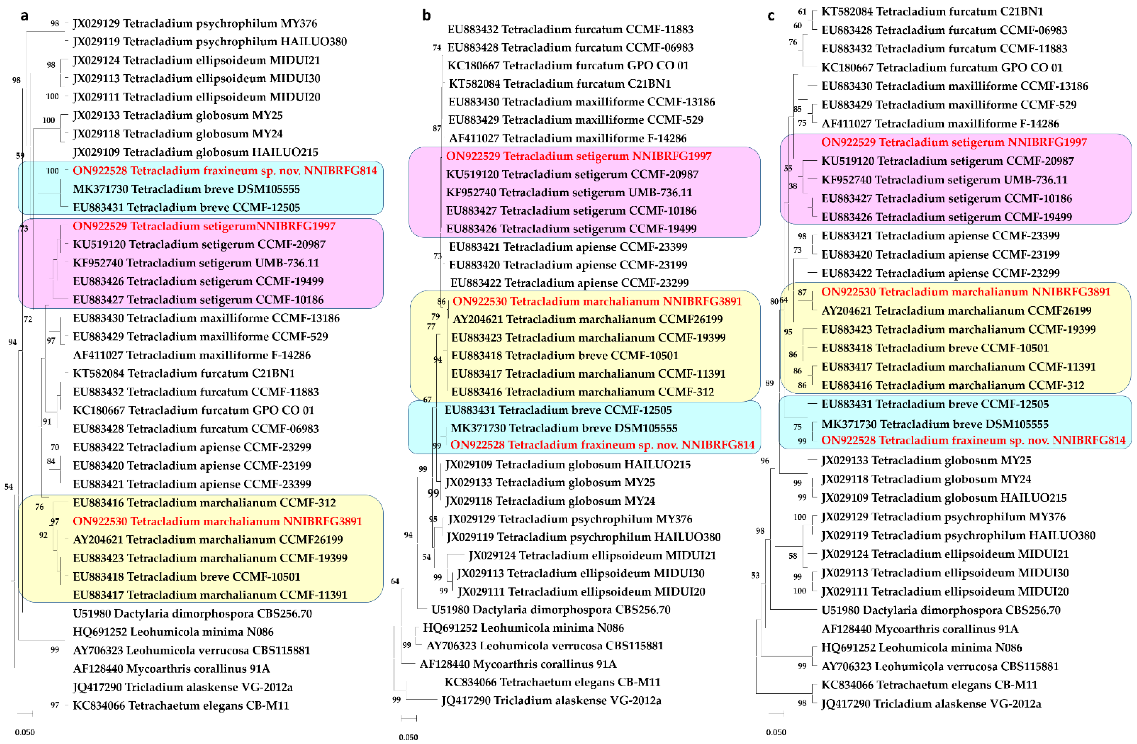 Diversity 14 00789 g001