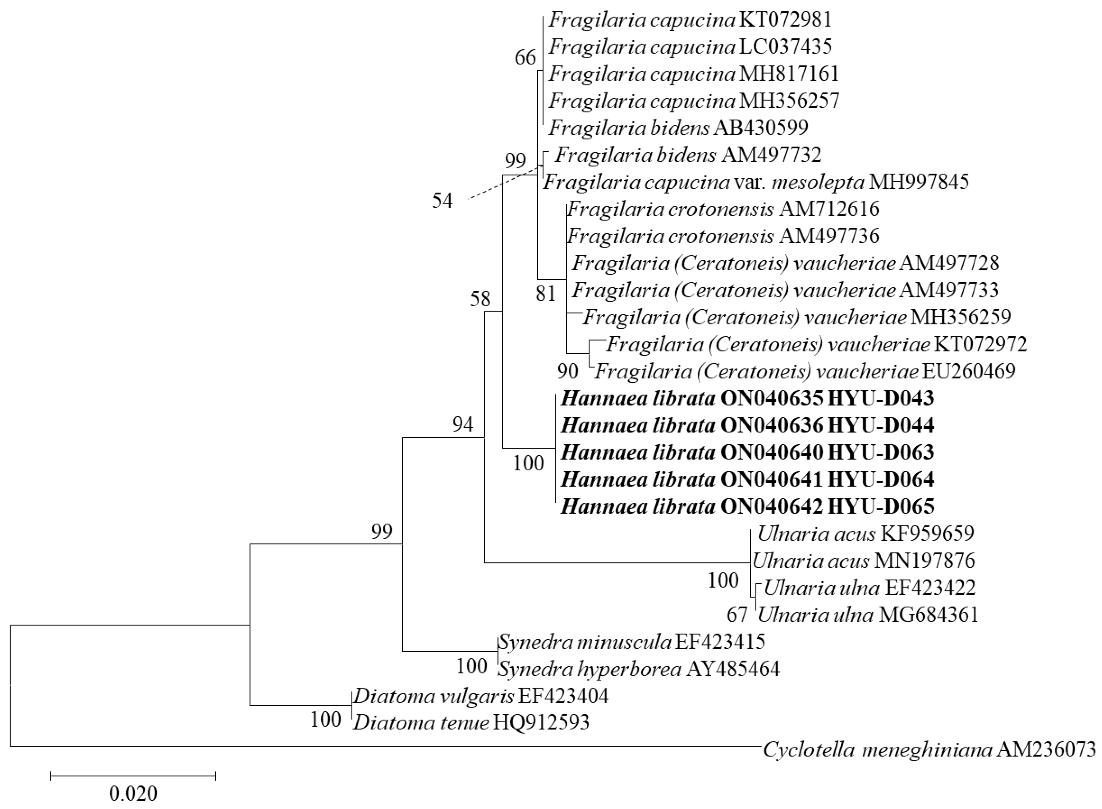 Diversity 14 00790 g004