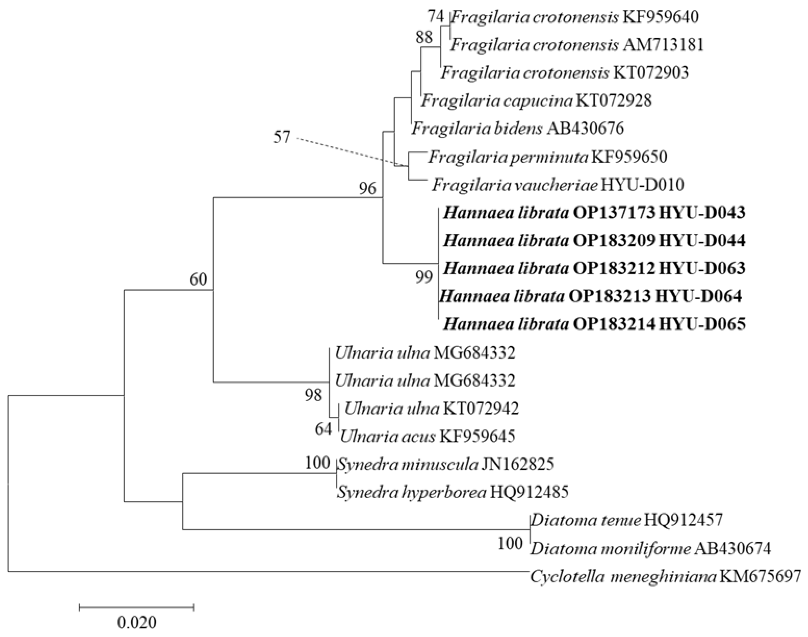 Diversity 14 00790 g005