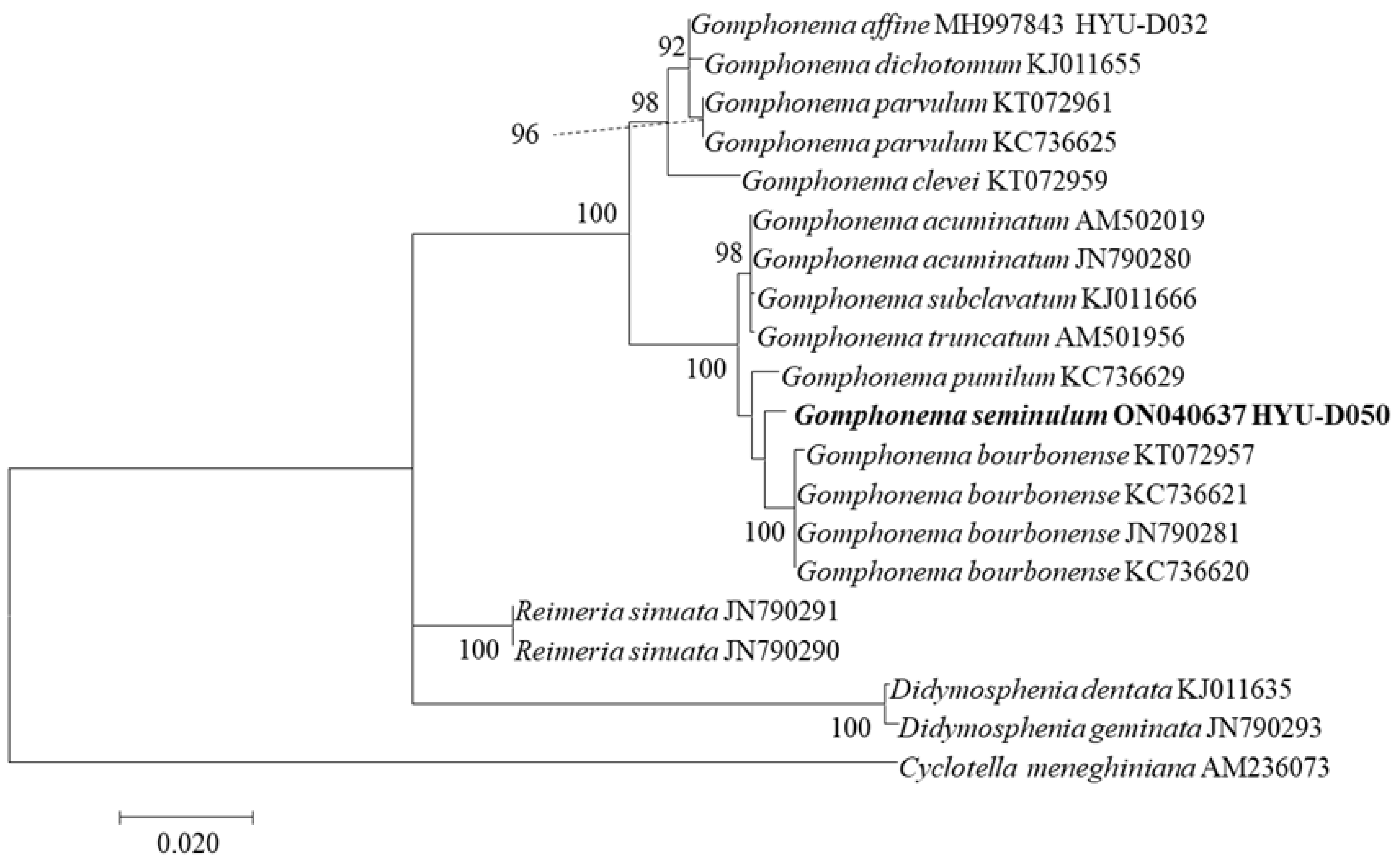Diversity 14 00790 g008