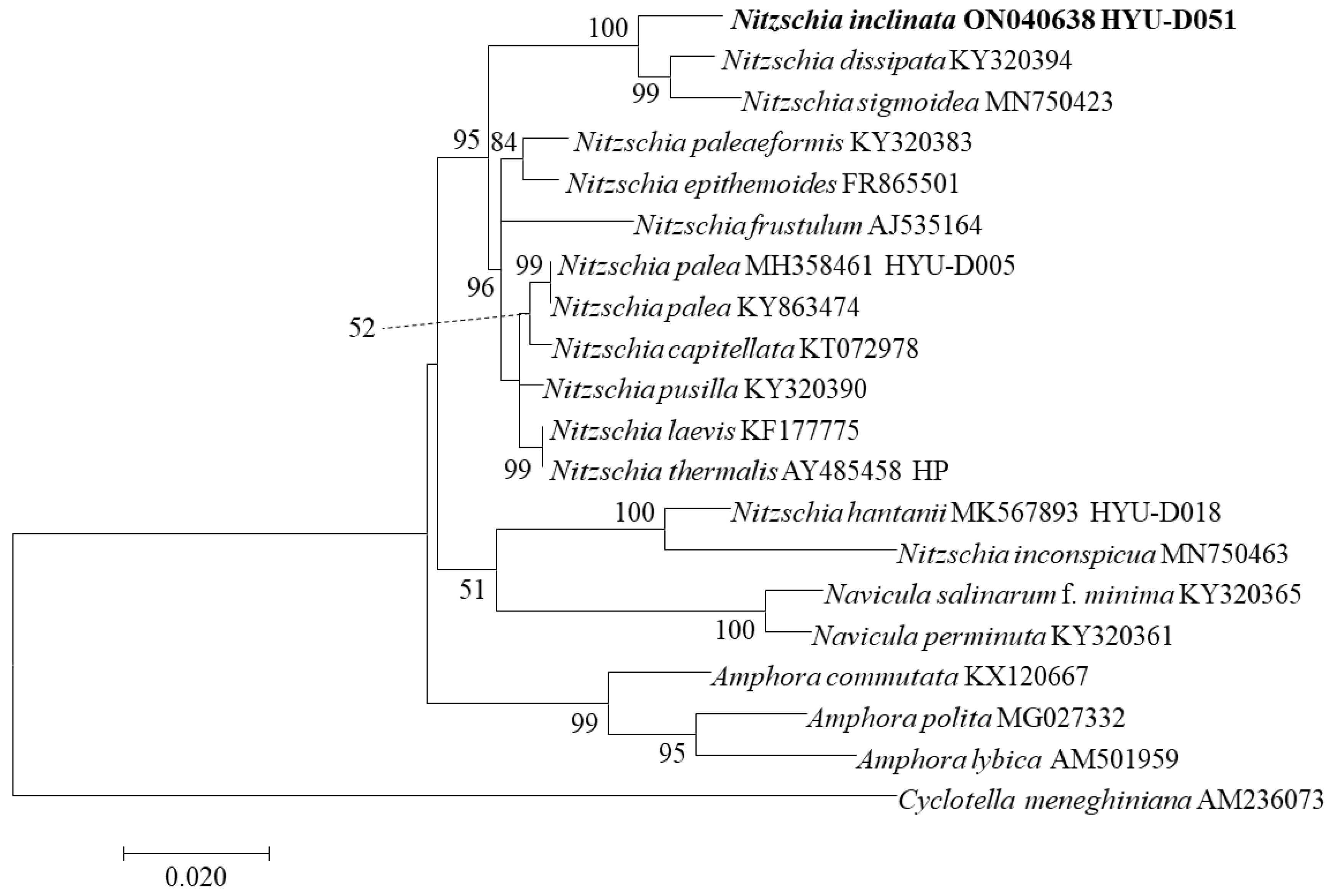 Diversity 14 00790 g012