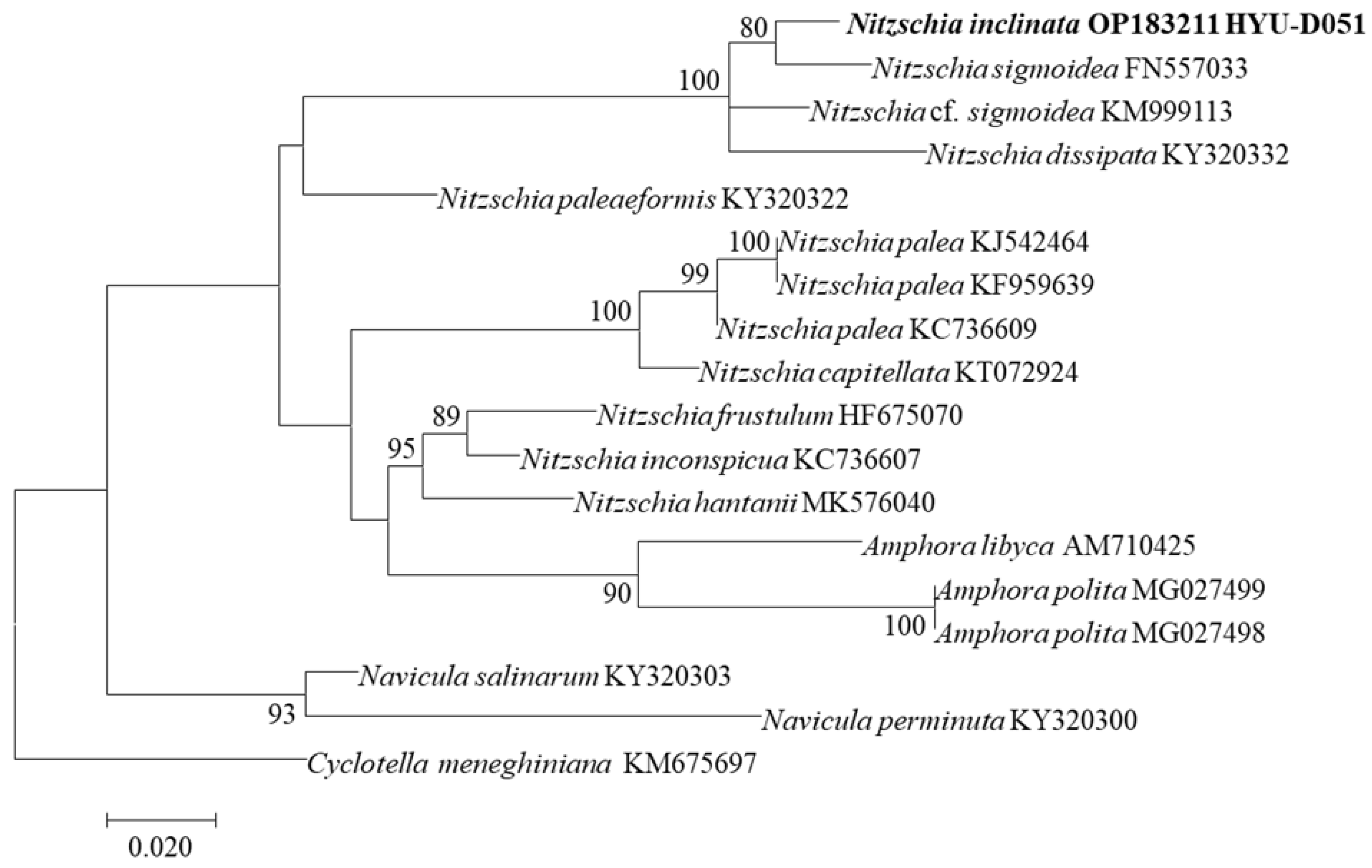 Diversity 14 00790 g013