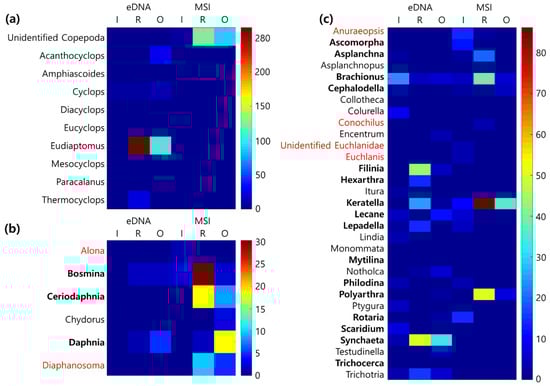 Diversity 14 00797 g0a1