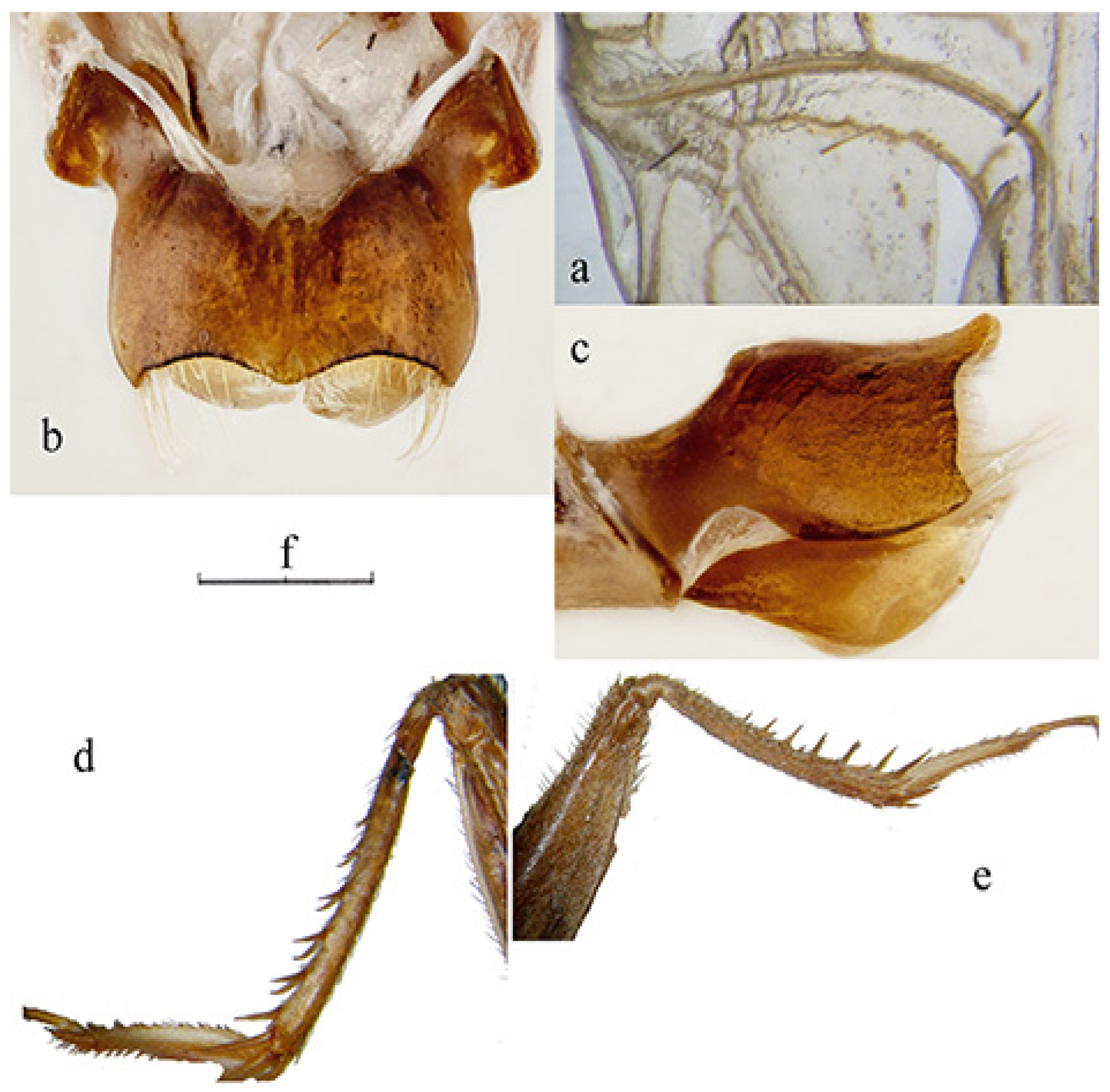 Diversity 14 00802 g006