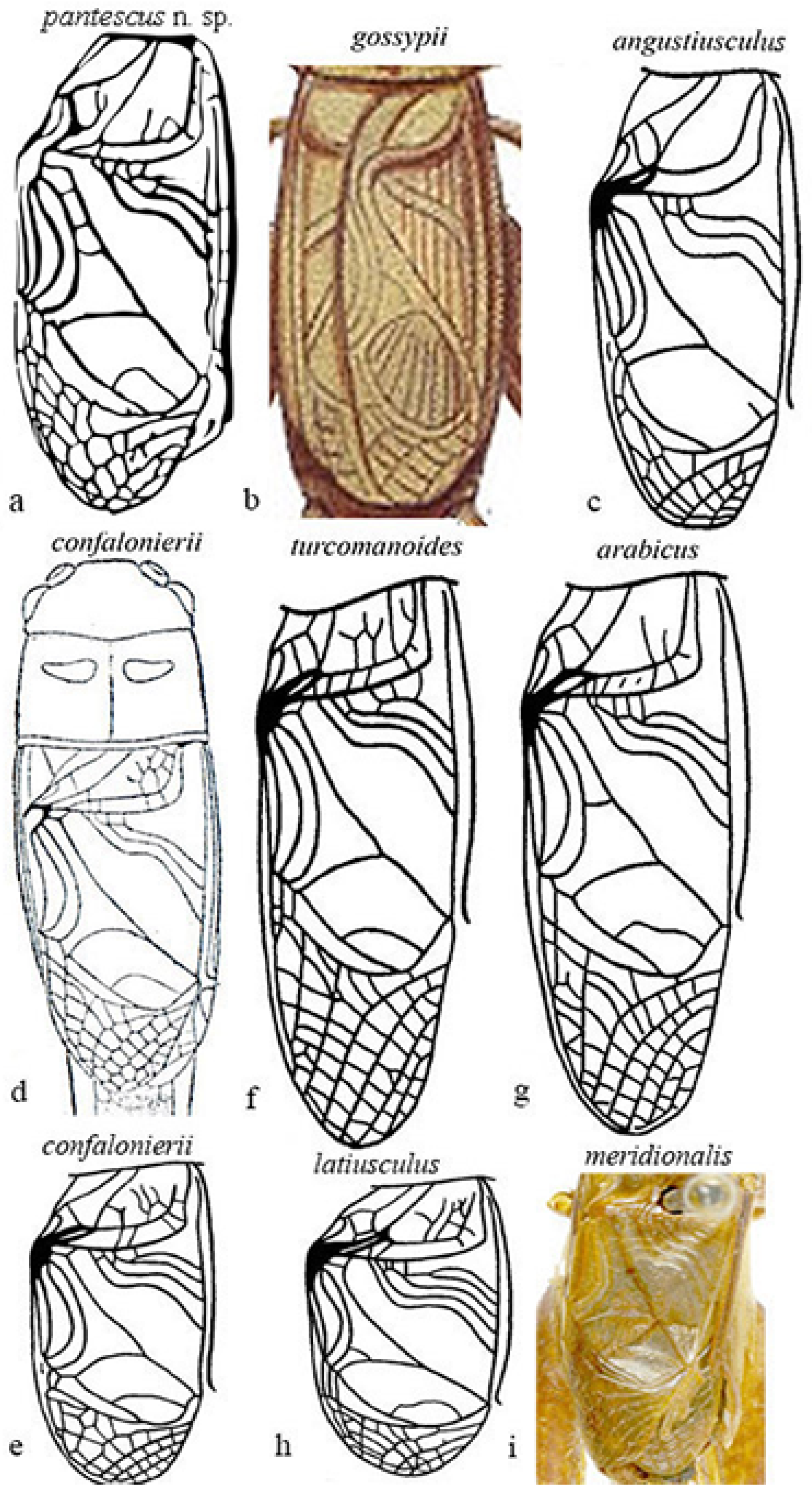 Diversity 14 00802 g008