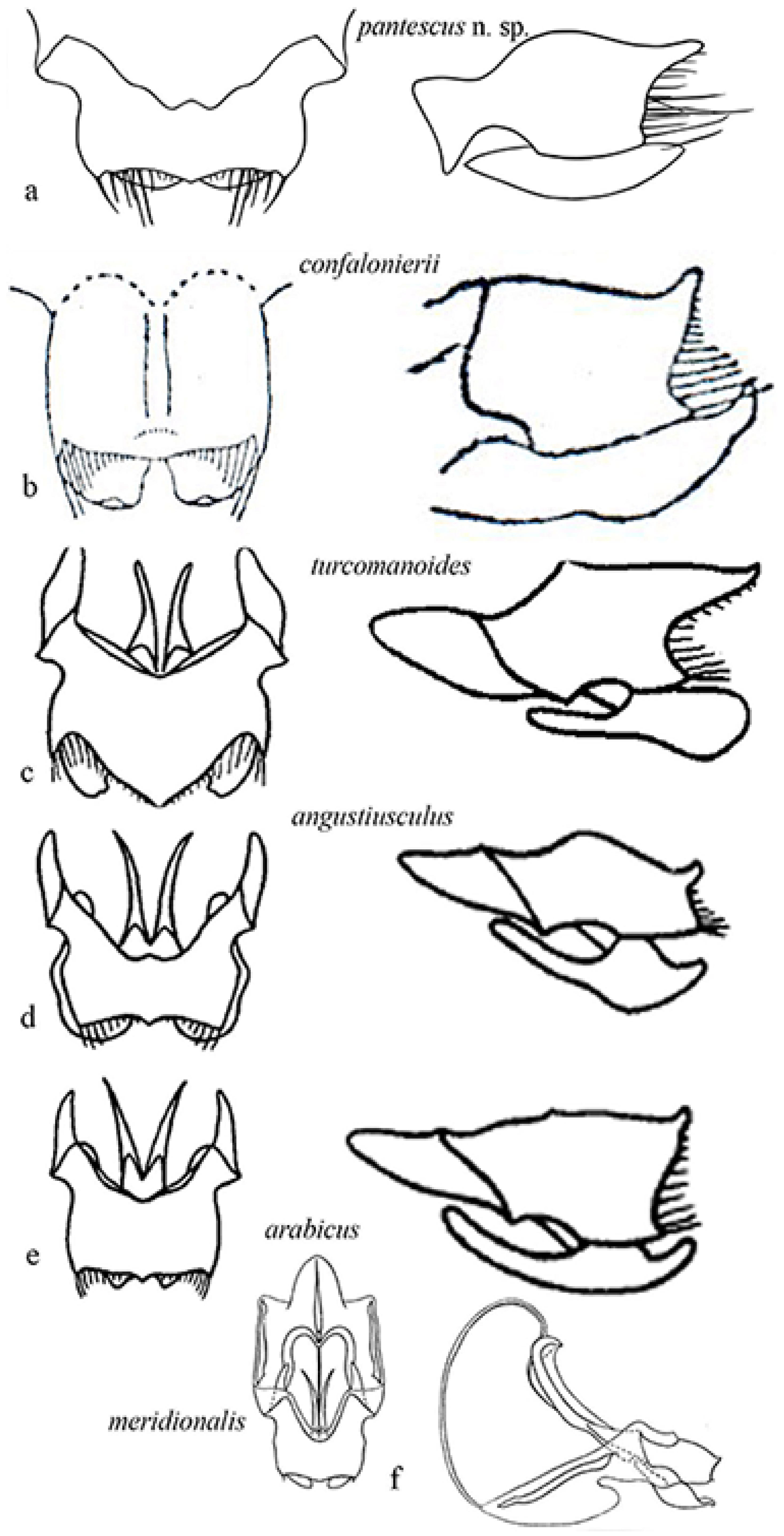 Diversity 14 00802 g009