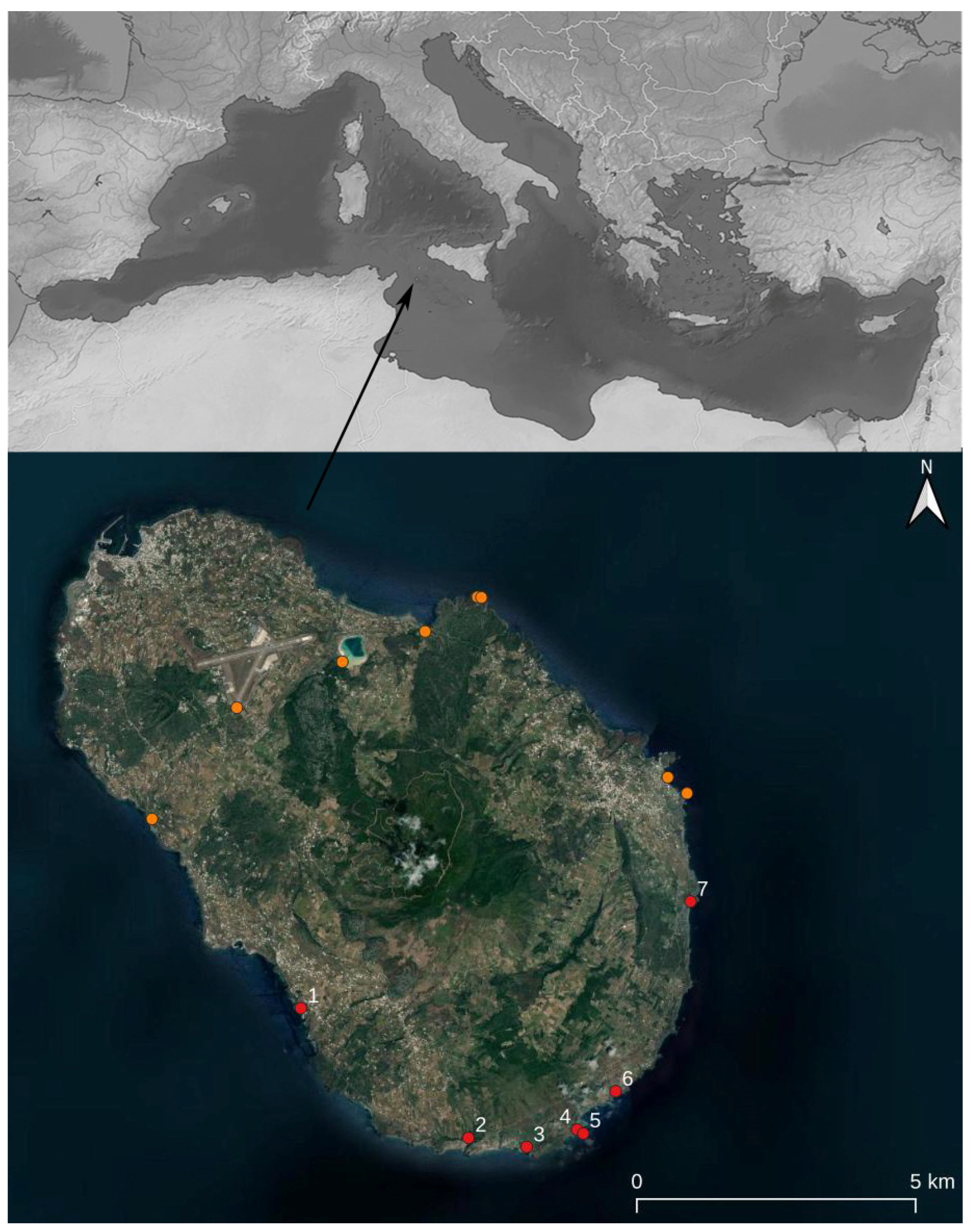 Diversity 14 00802 g010