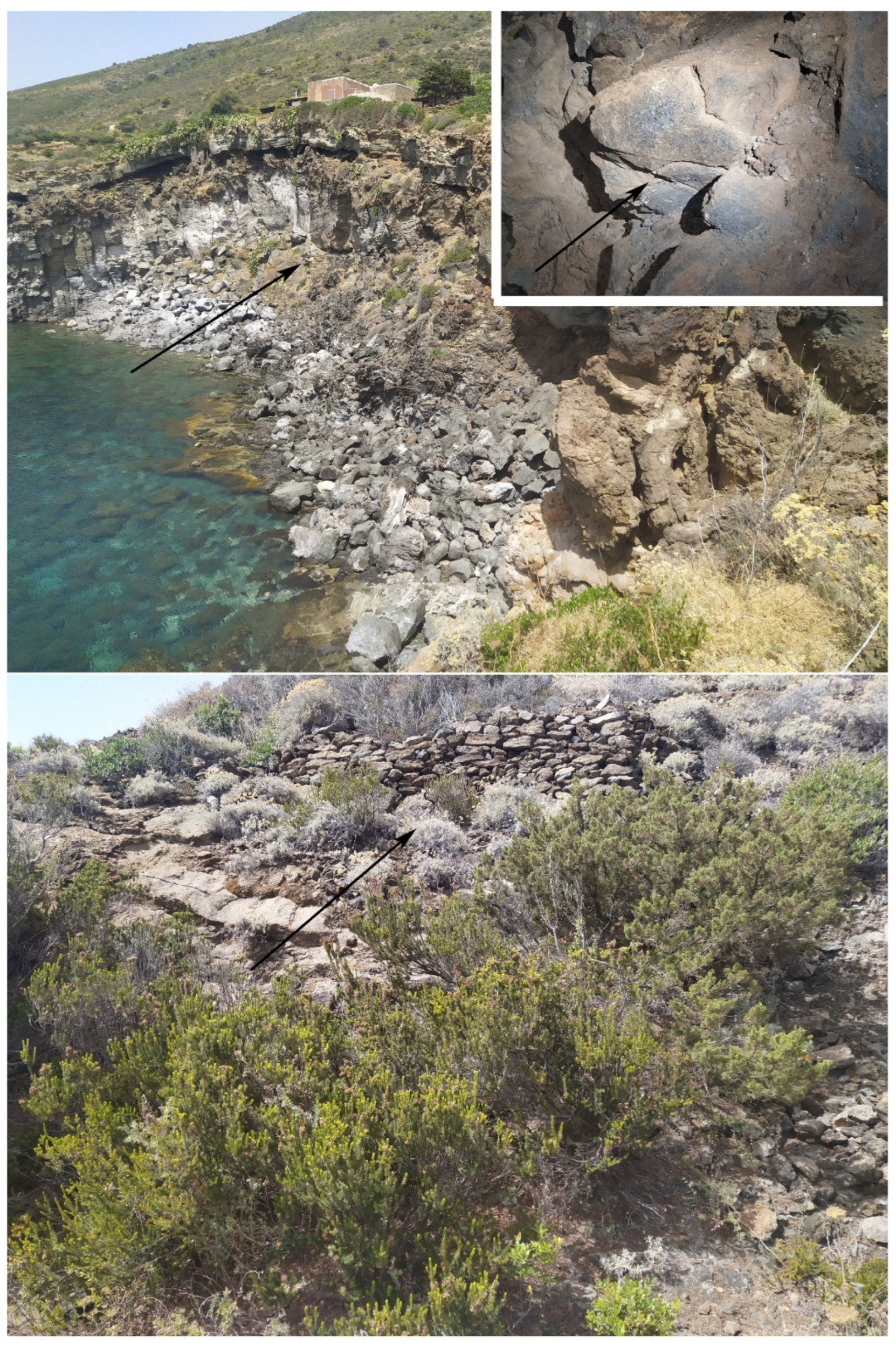 Diversity 14 00802 g011