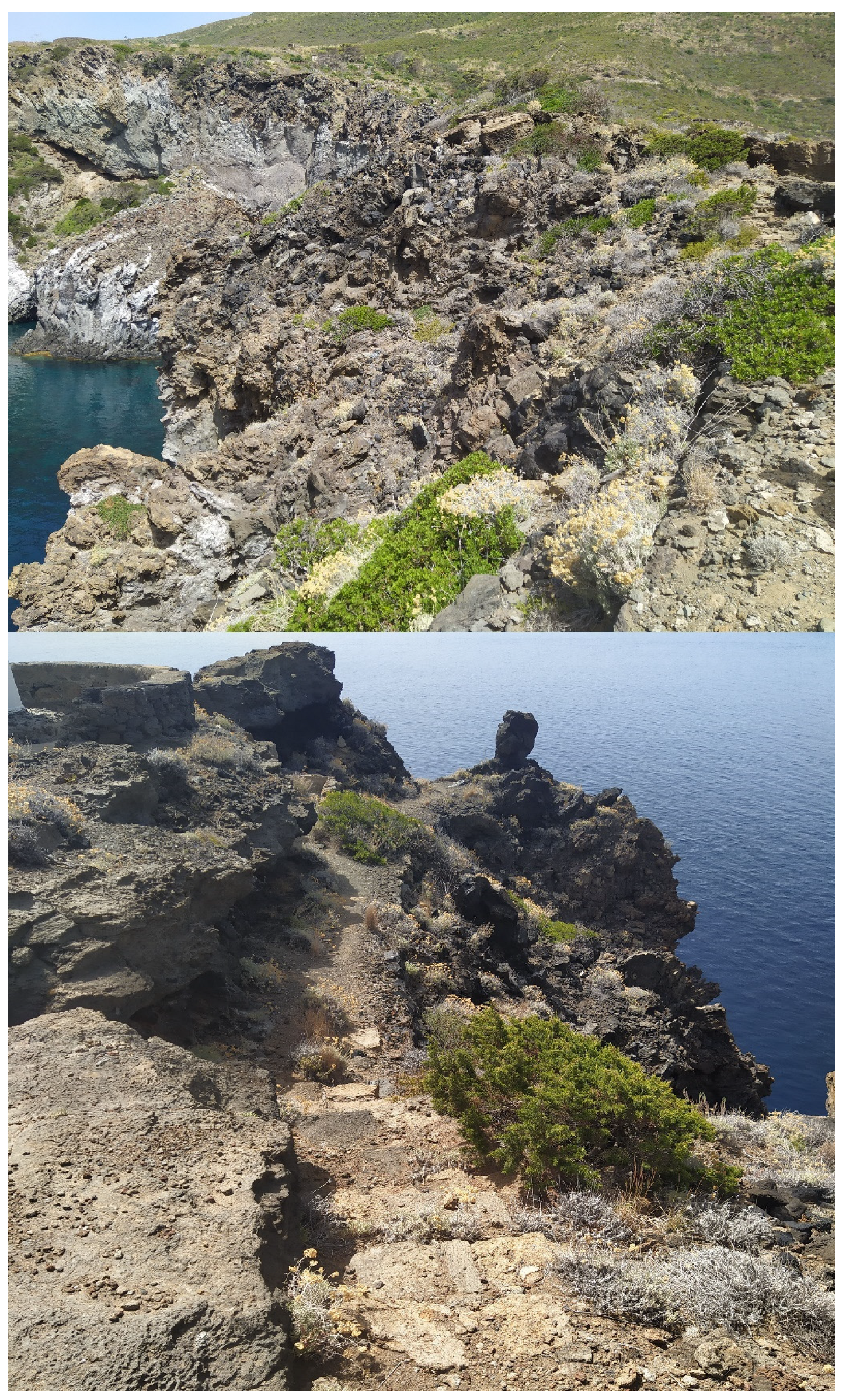 Diversity 14 00802 g012