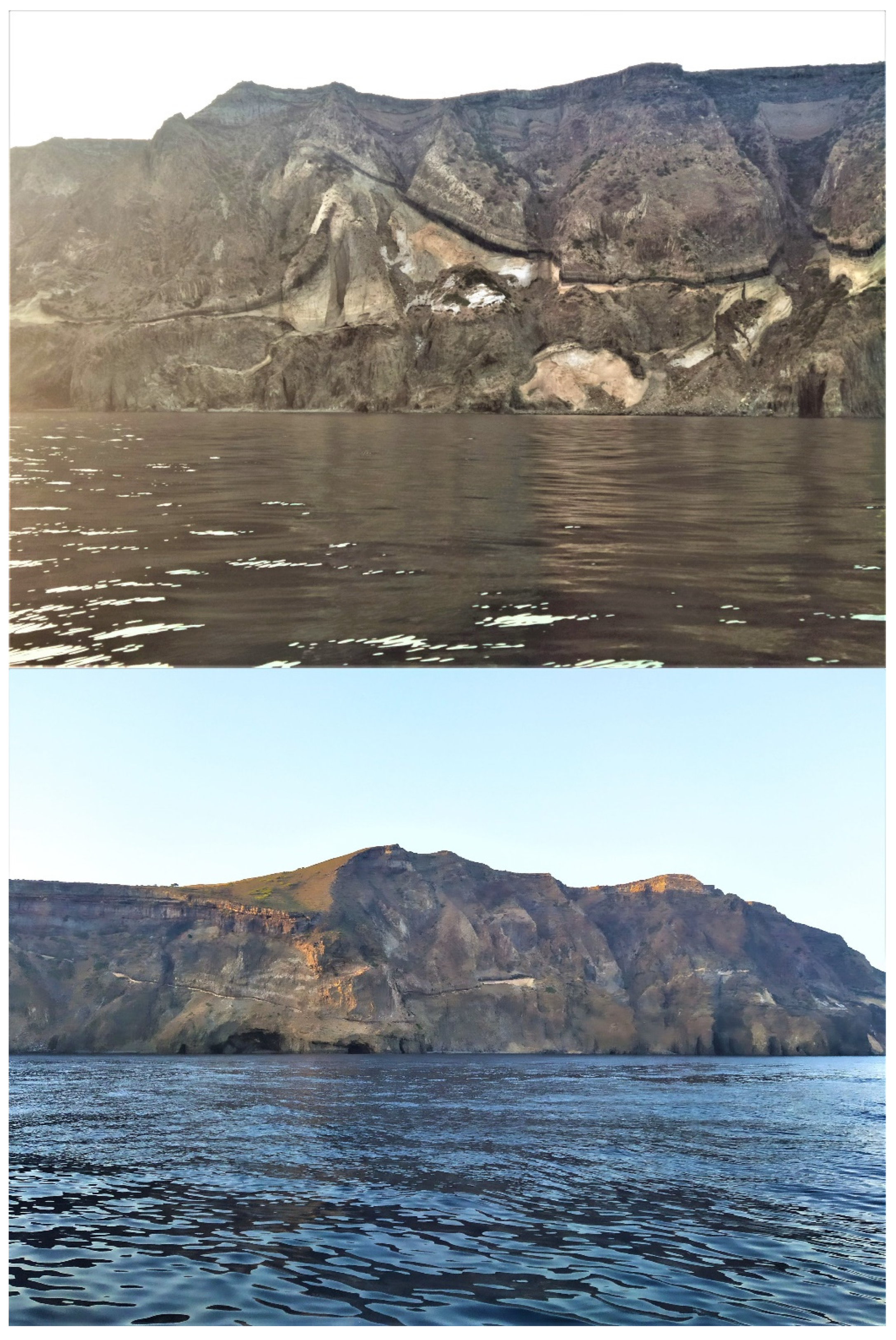 Diversity 14 00802 g013