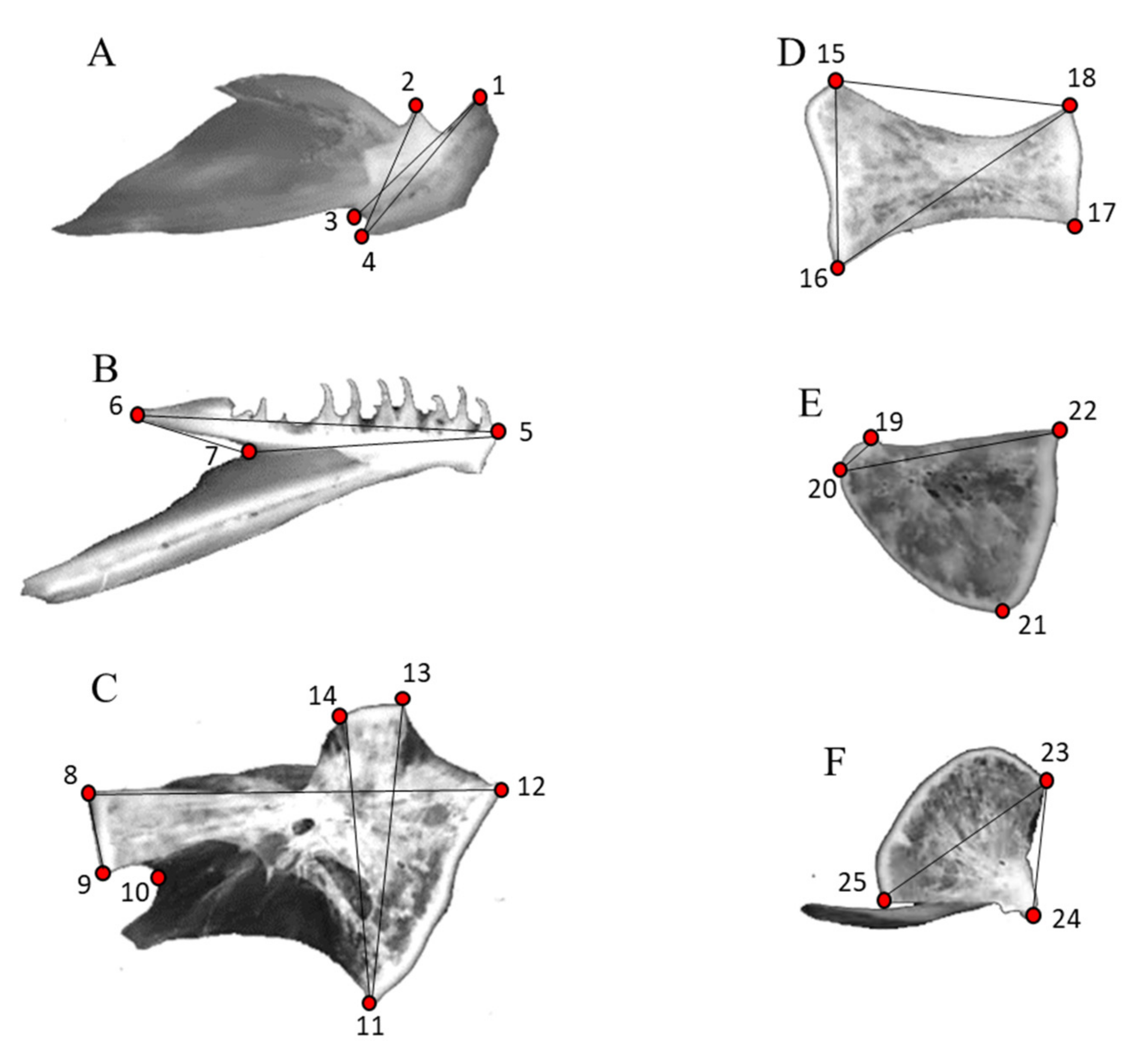 Diversity 14 00806 g001