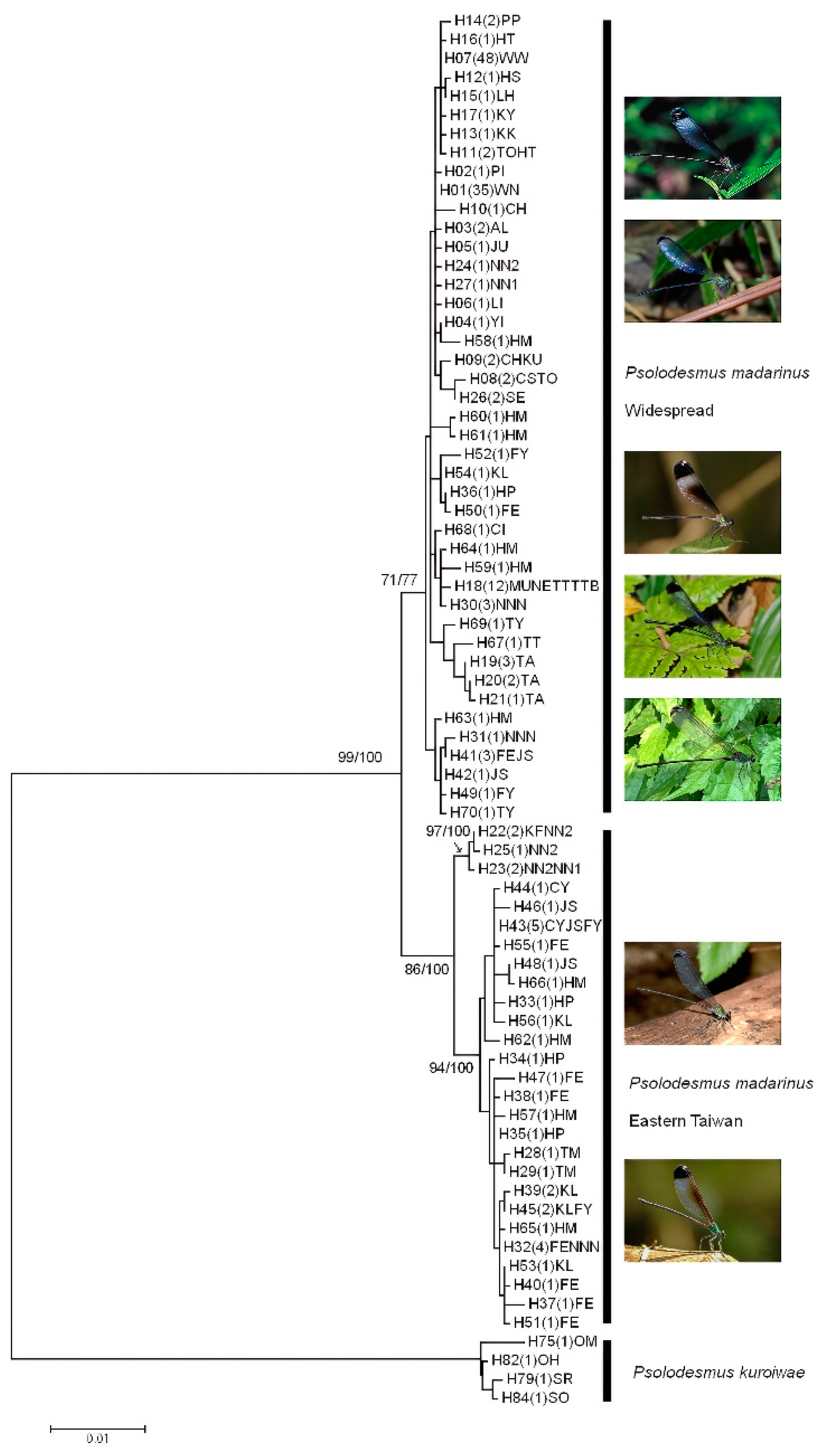 Diversity 14 00809 g003