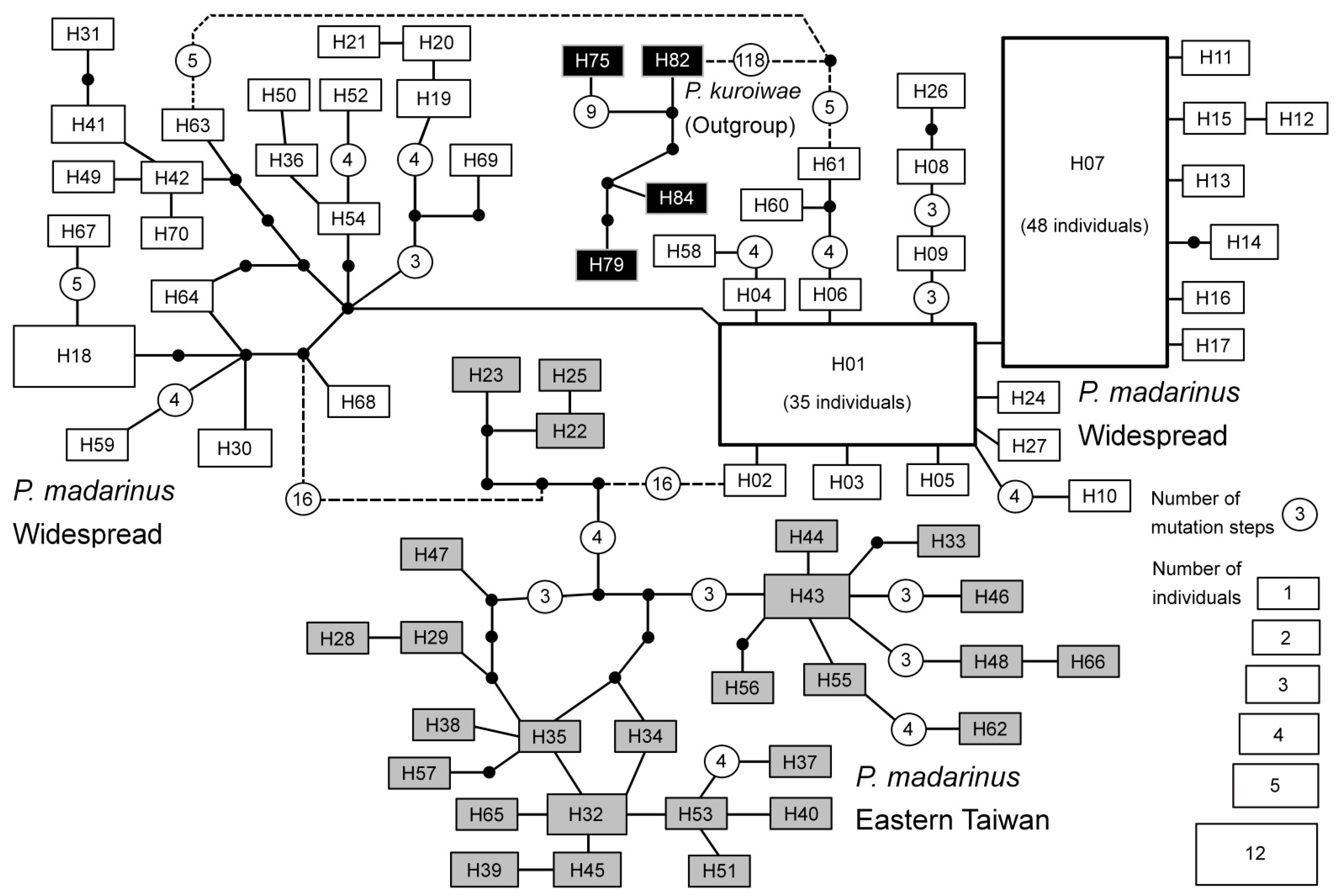 Diversity 14 00809 g004