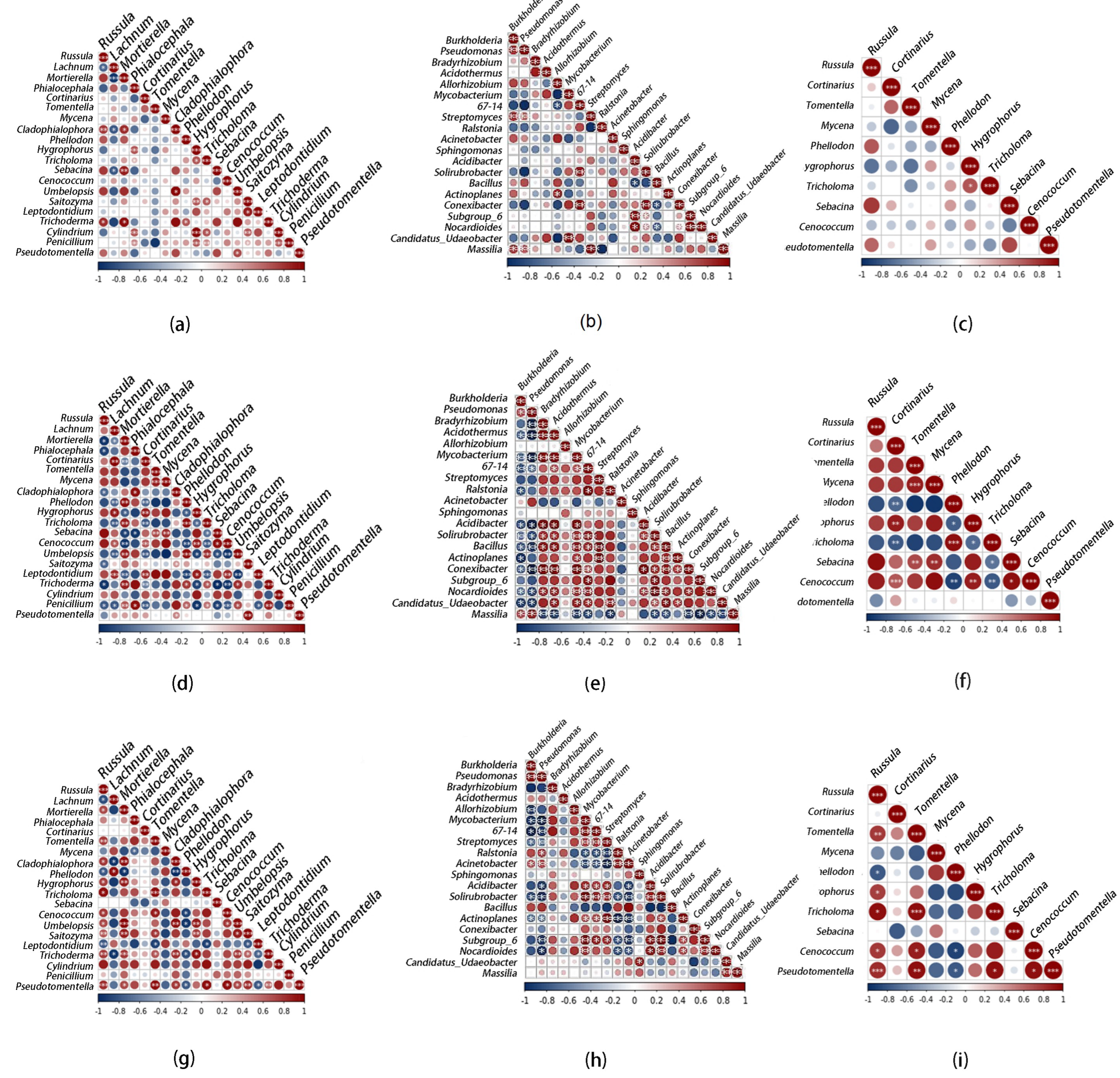 Diversity 14 00810 g004