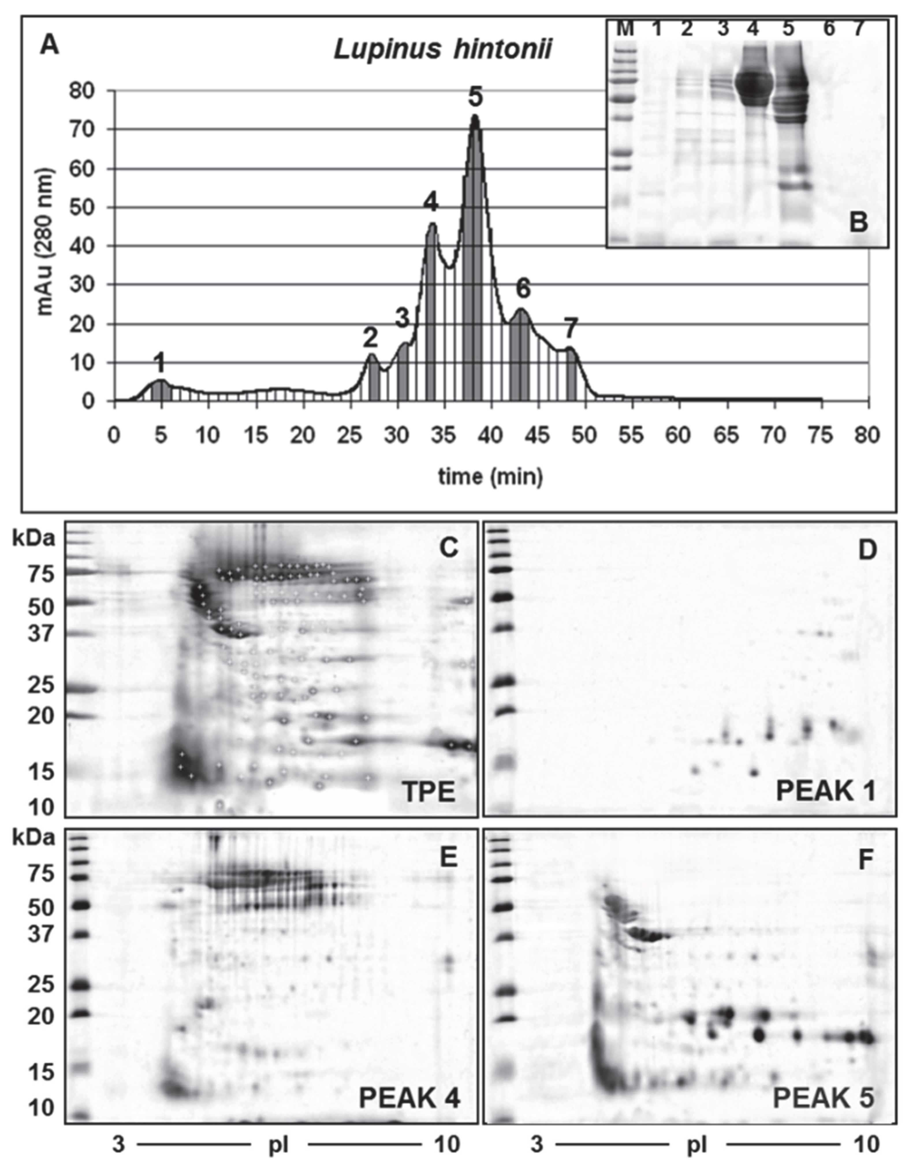 Diversity 14 00814 g001