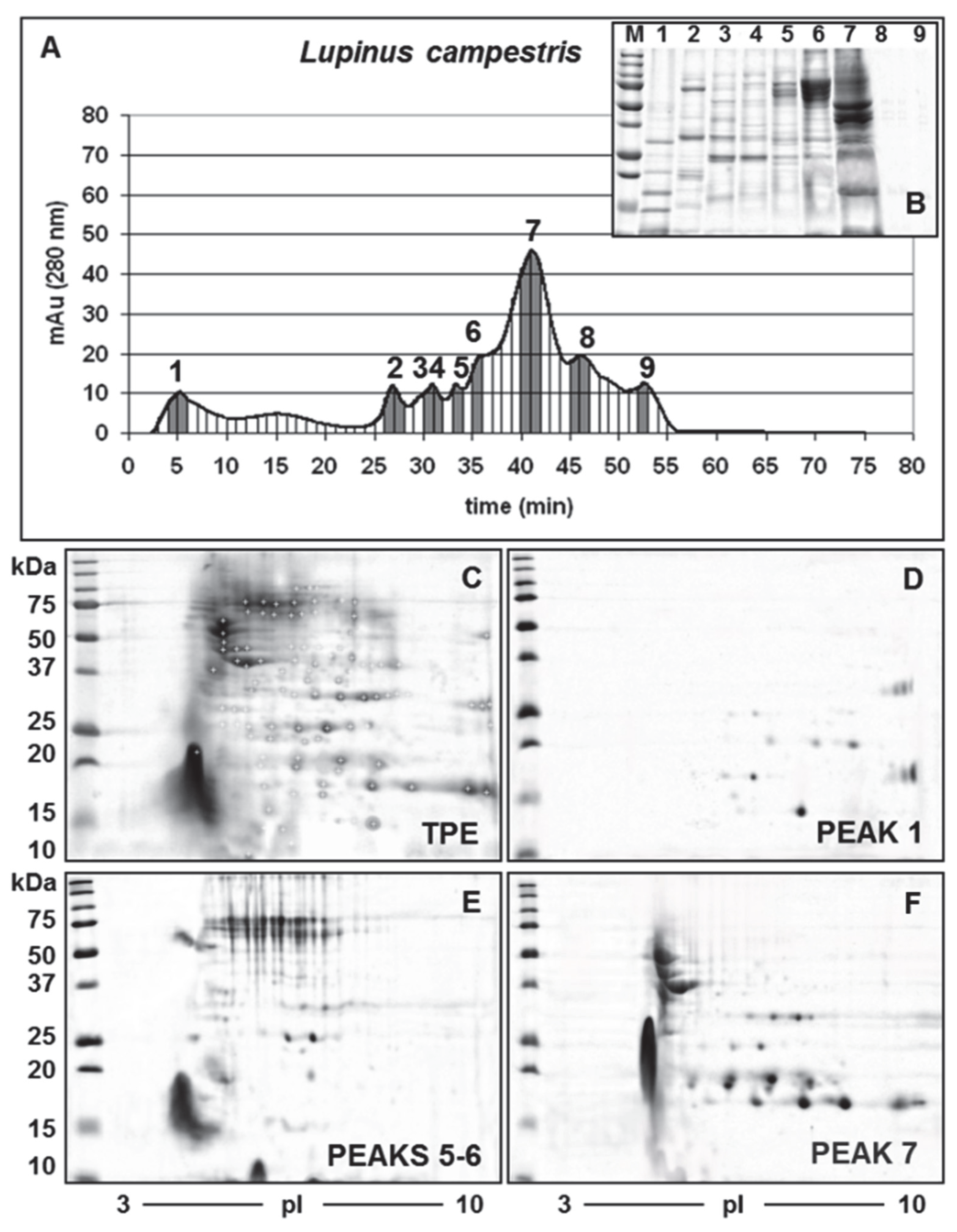 Diversity 14 00814 g002