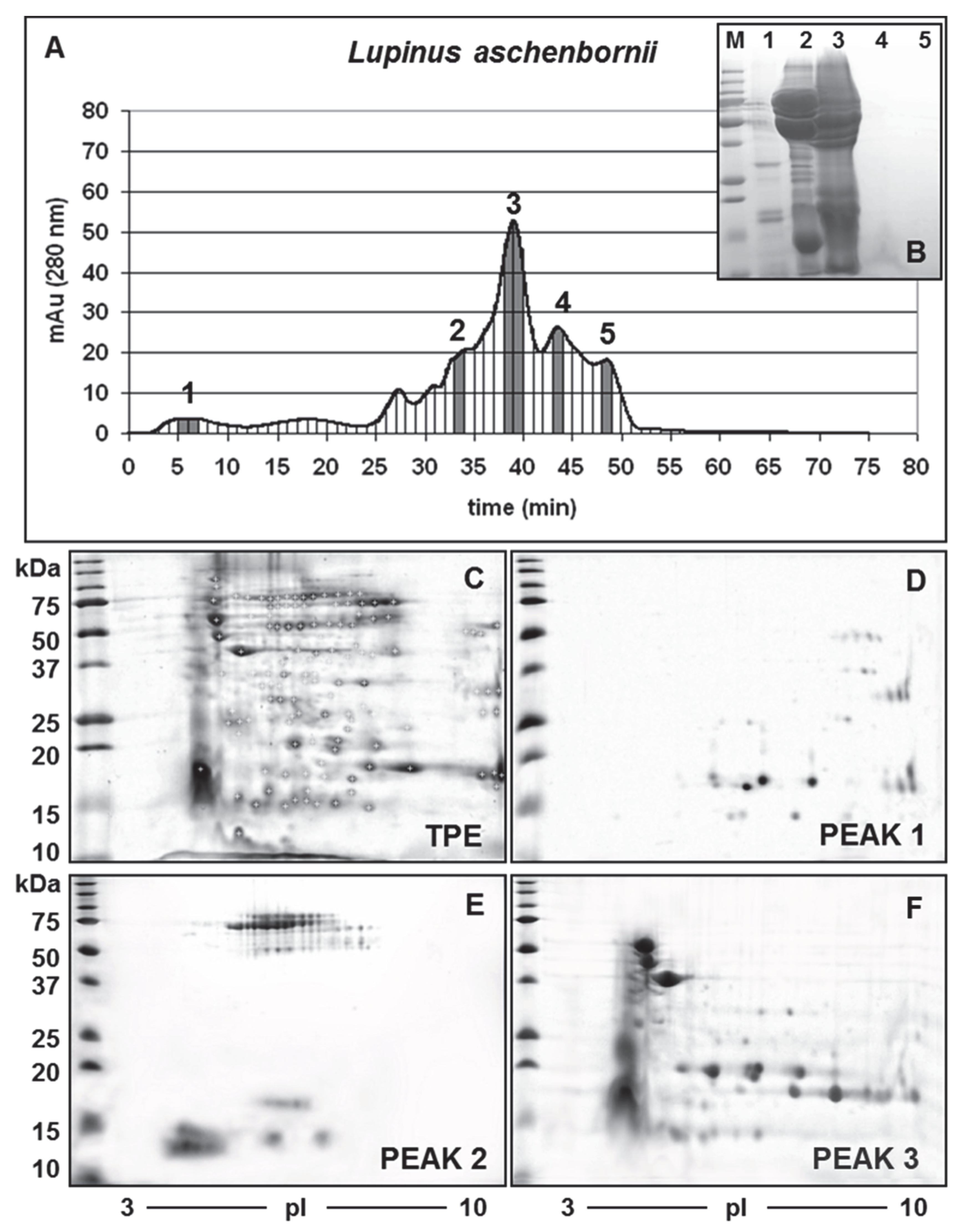 Diversity 14 00814 g003