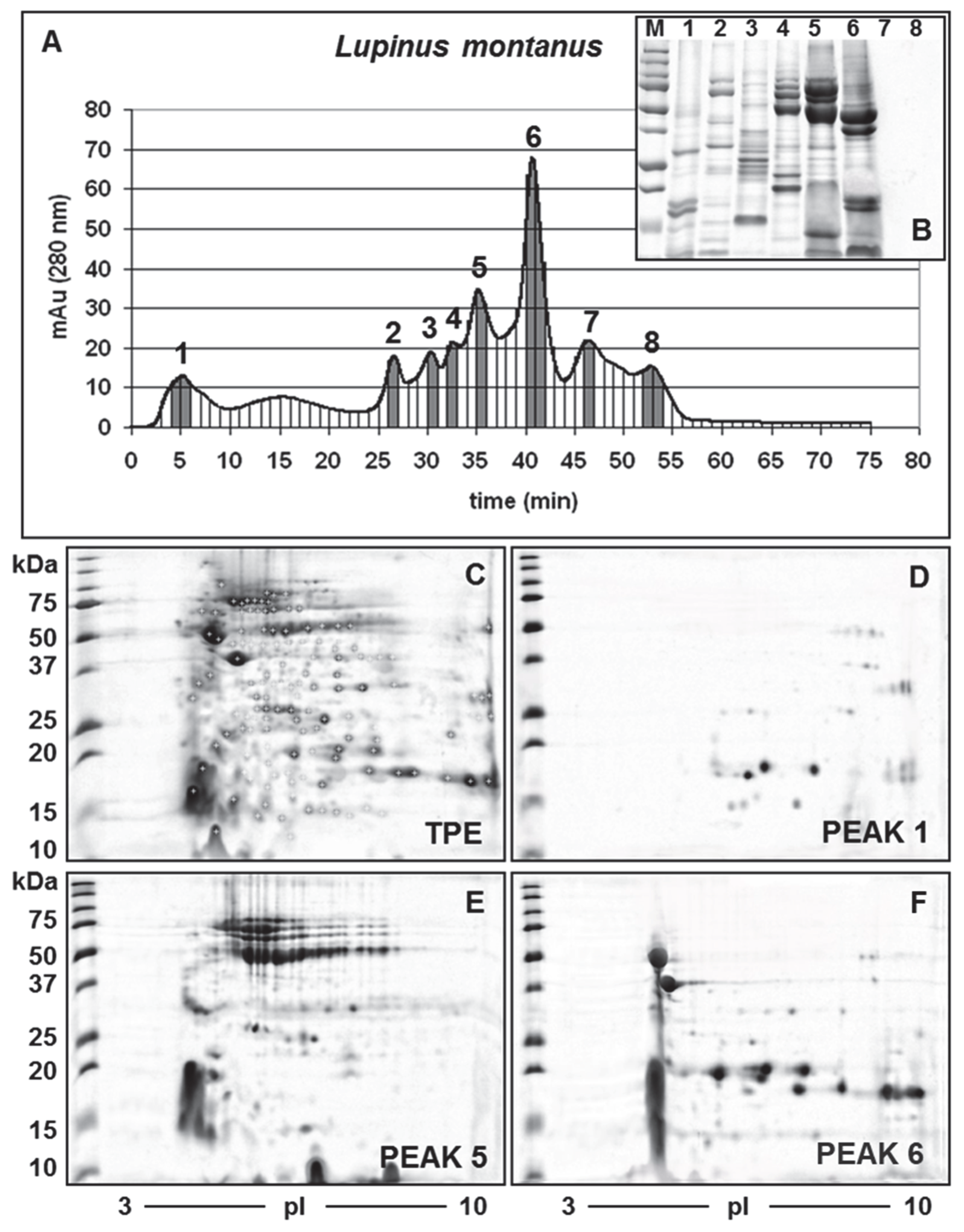 Diversity 14 00814 g004