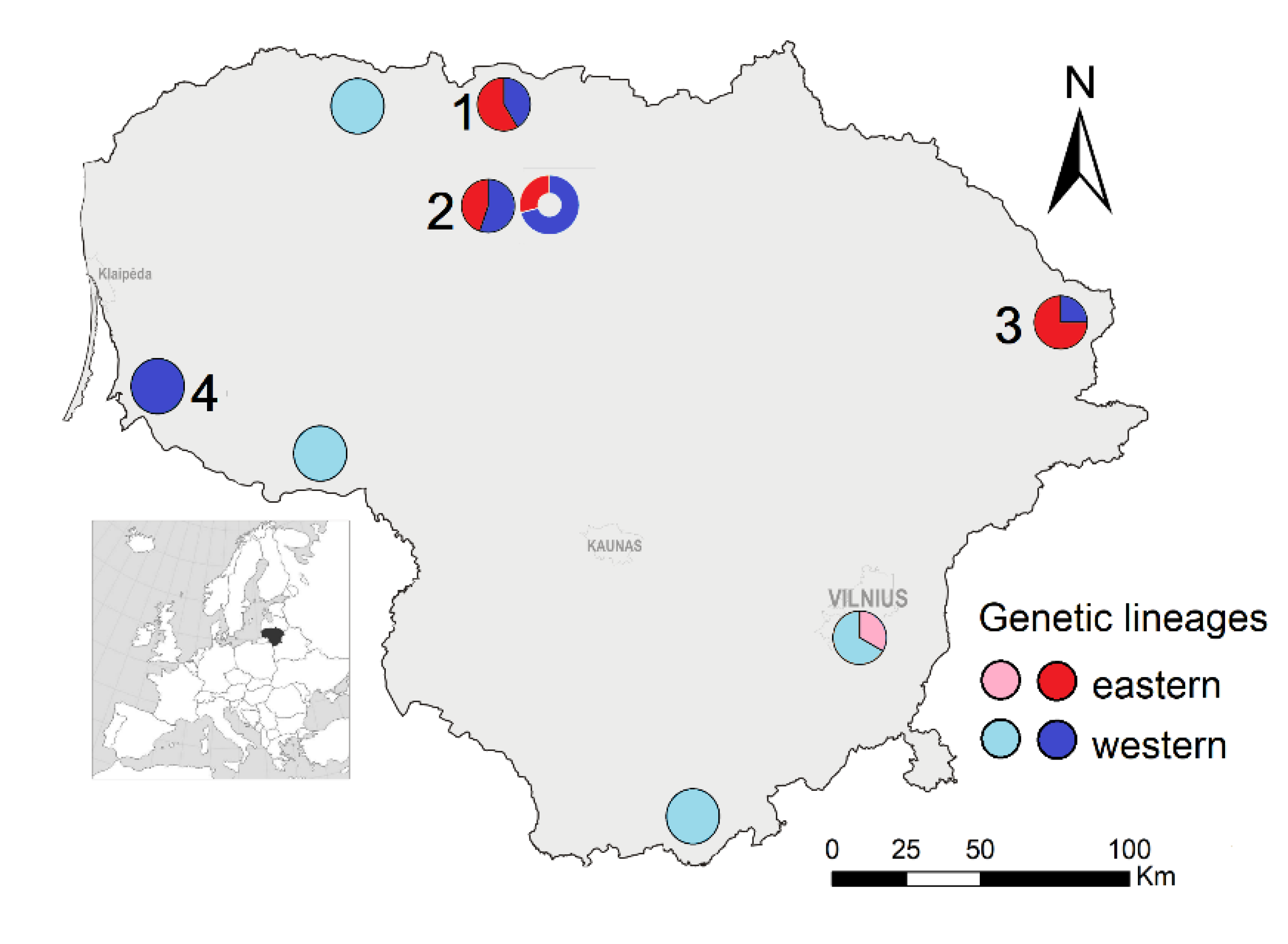 Diversity 14 00820 g001 Diversity 14 00820 g001