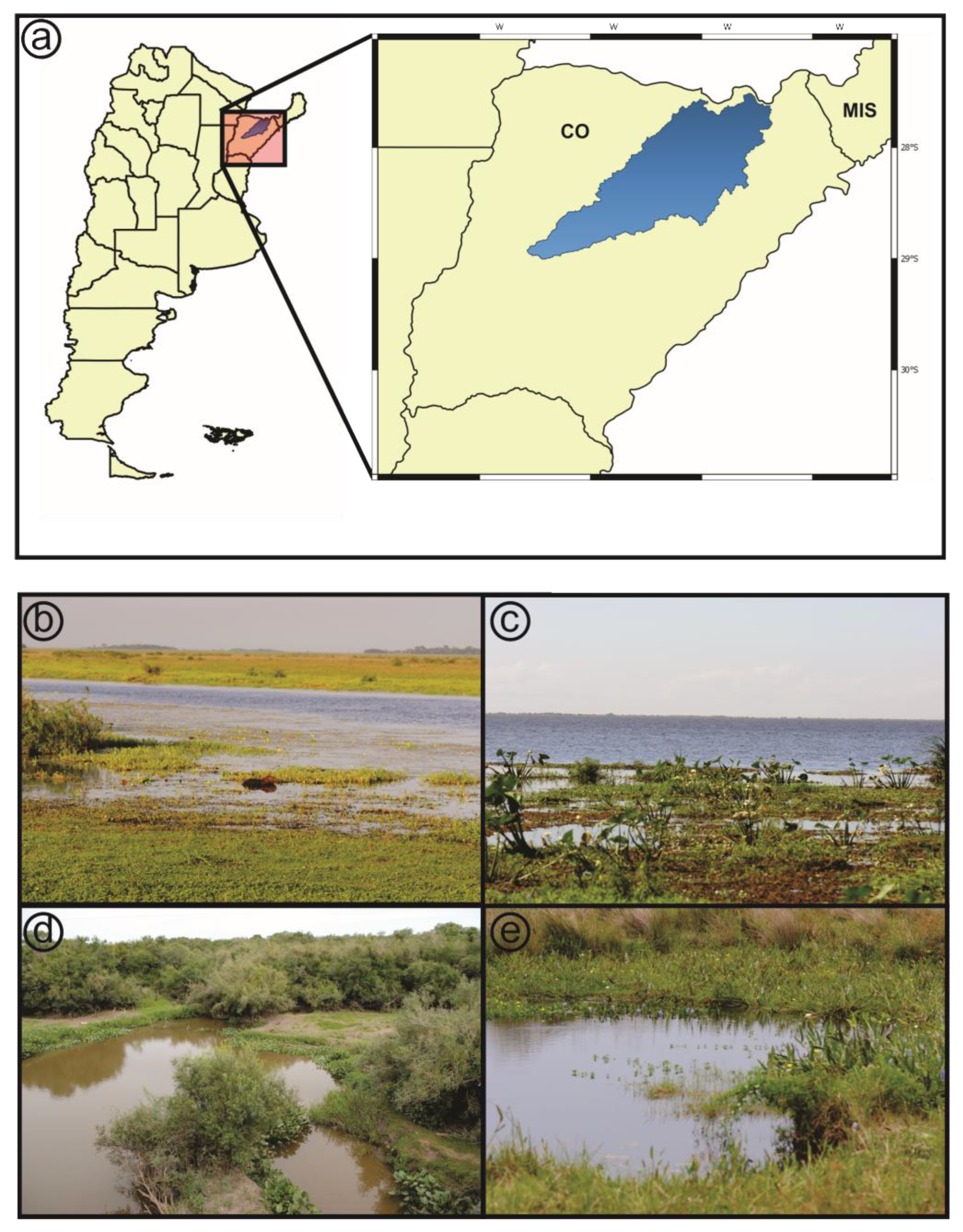 Diversity 14 00842 g001 Diversity 14 00842 g001