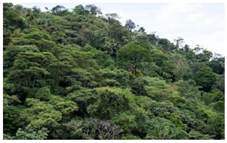 Diversity 14 00846 i001