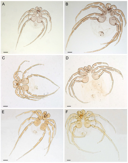 Diversity 14 00848 g004