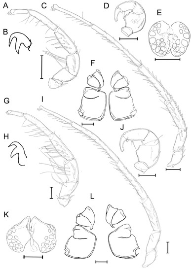 Diversity 14 00848 g005