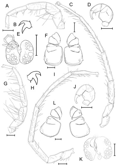 Diversity 14 00848 g006